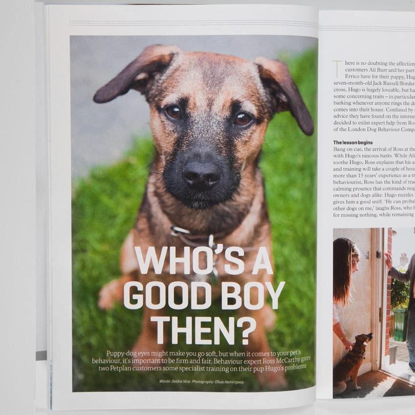 Pet People (Pet Plan Magazine) Hugo