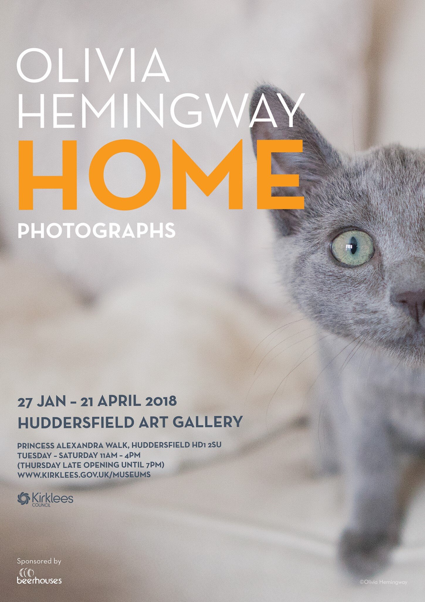 HOME Exhibition Poster, Willow