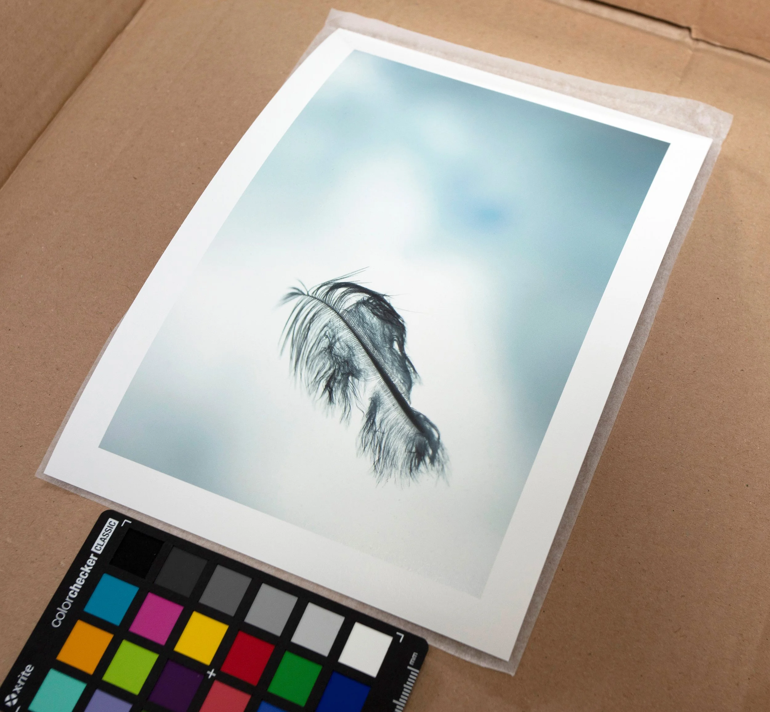 Feather_Proof_Swiftprint_01_F.jpg