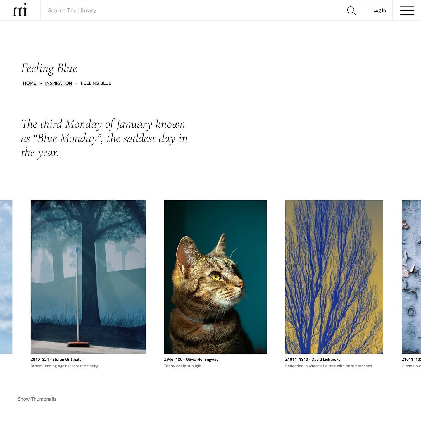 We&rsquo;ve got past &lsquo;Blue Monday&rsquo; and here&rsquo;s my tabby cat image in the new @millennium_images gallery: Feeling Blue.

Very pleased to be sharing the gallery with these fantastic photographers - www.milim.com
💙🩵💙🩵💙

Image &copy
