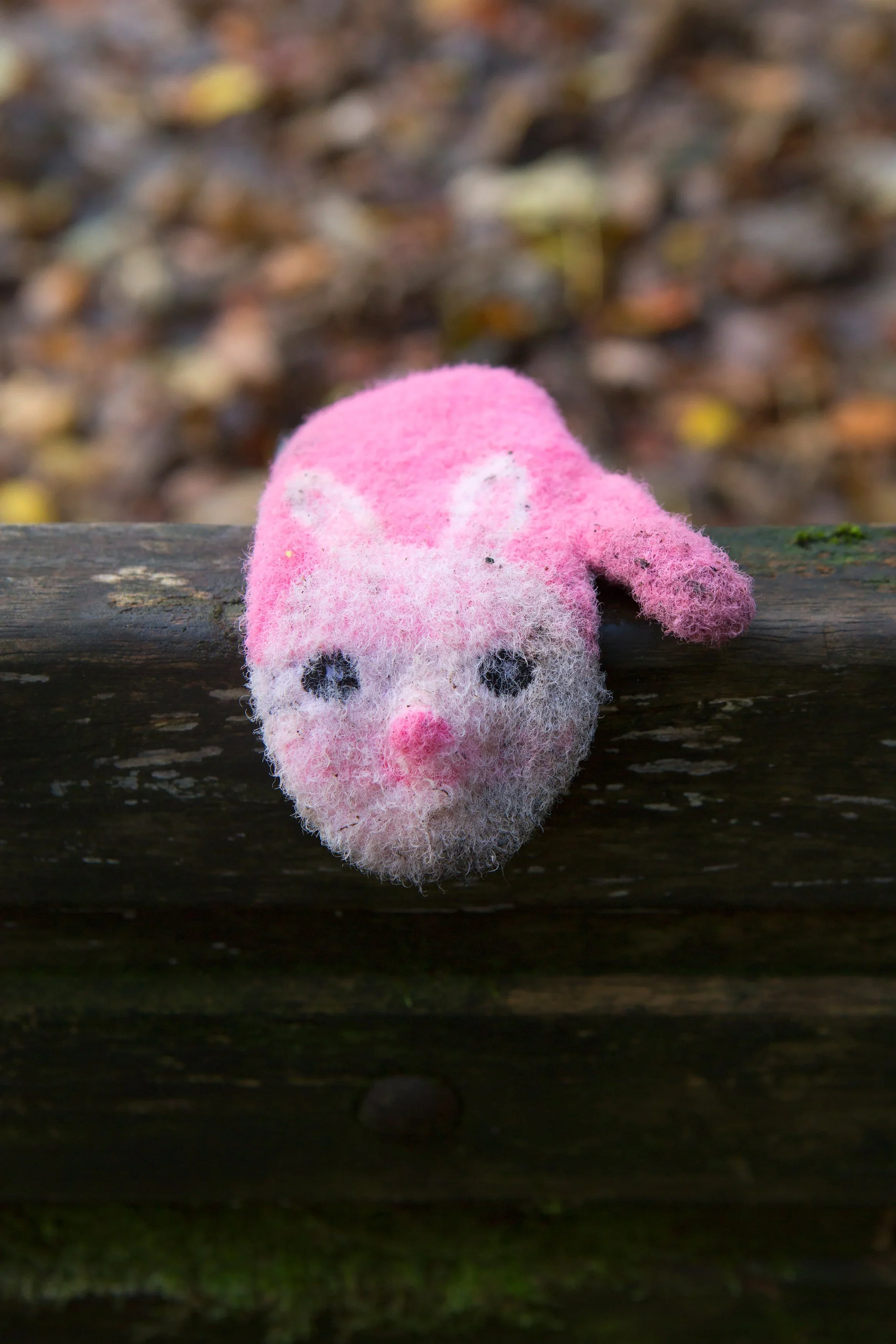 Pink Rabbit Glove, 2020