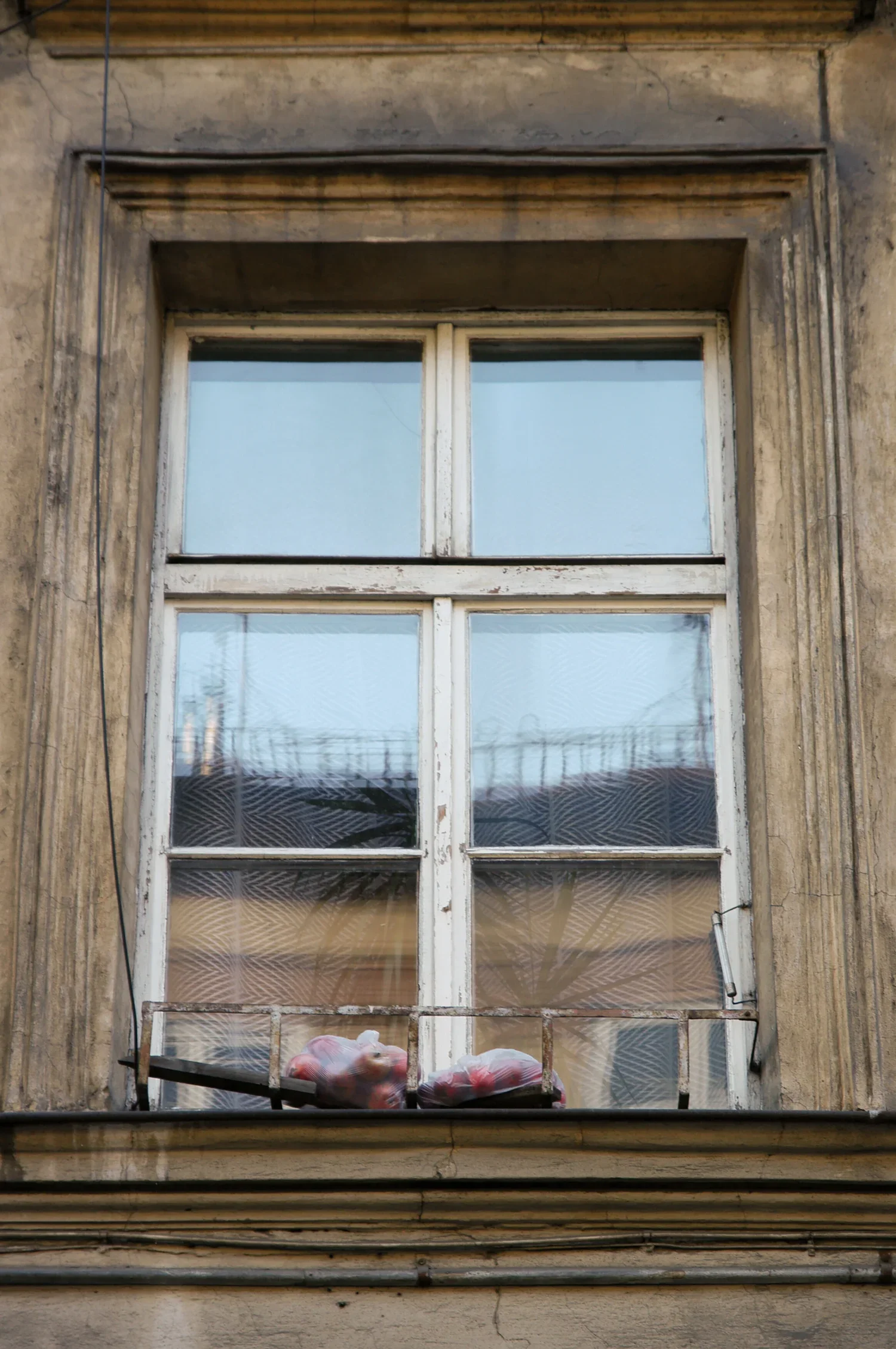 Apples on Window Ledge