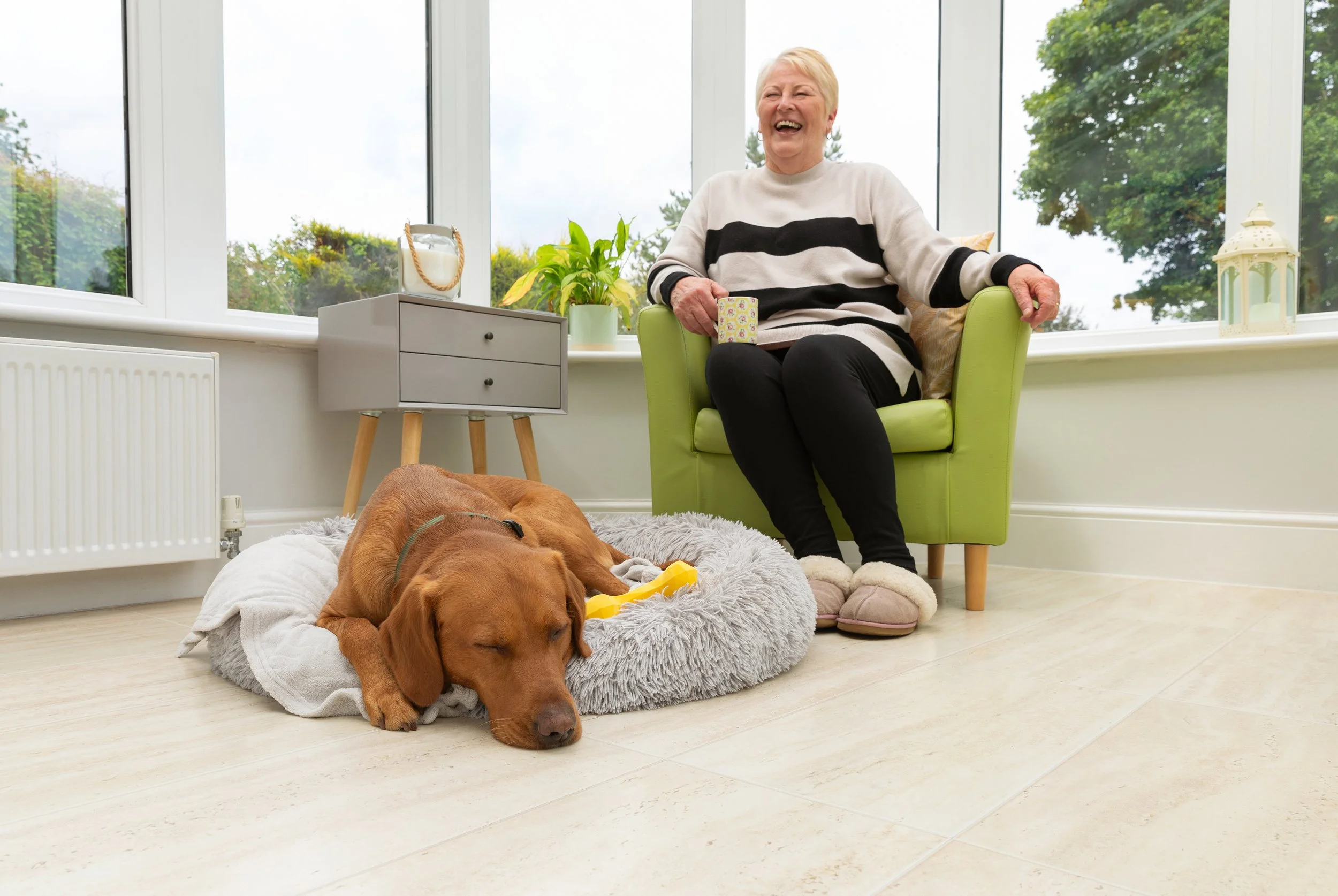 Dogs Trust Wag Magazine