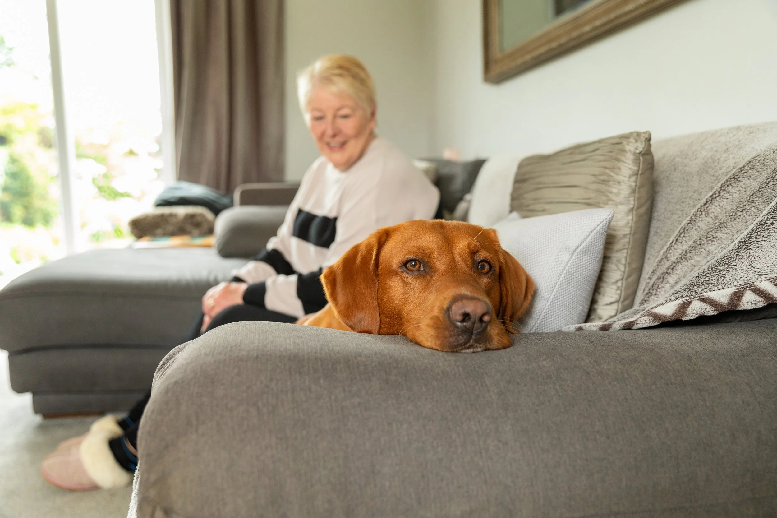Dogs Trust Wag Magazine