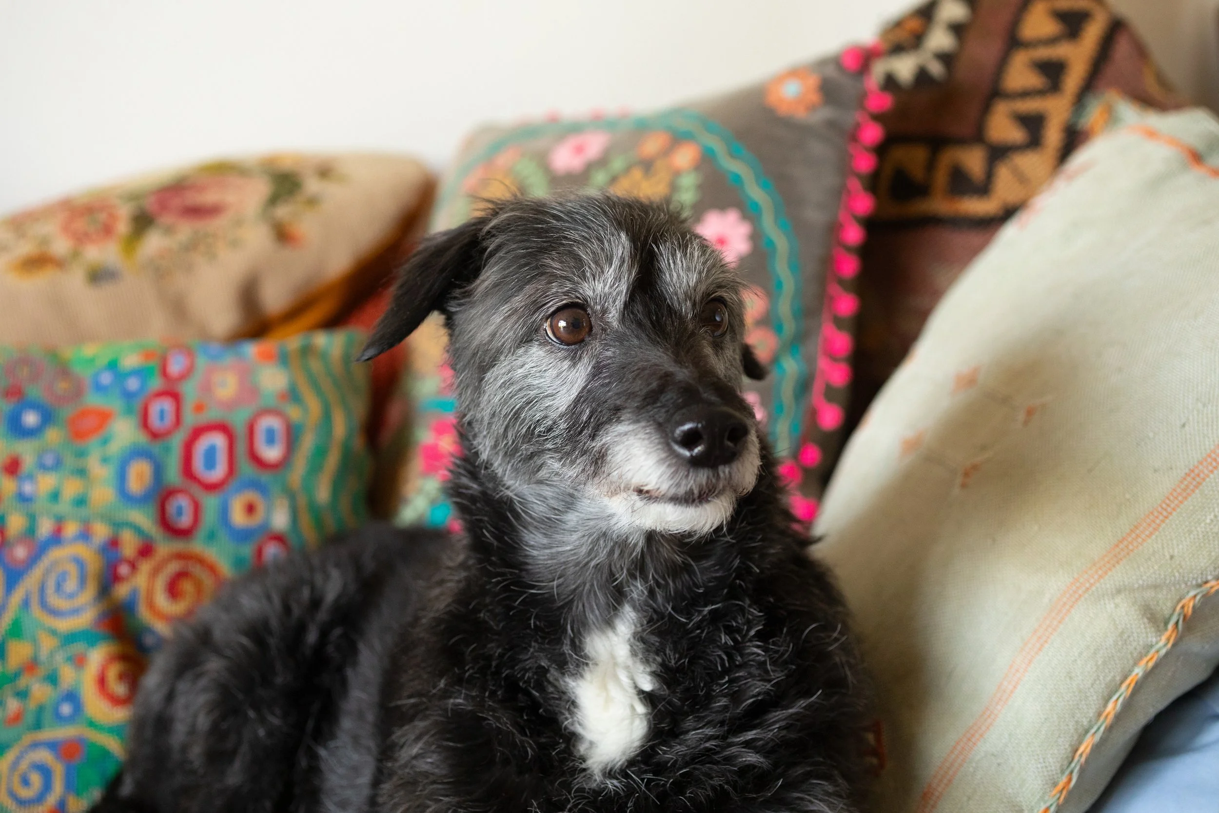 Rosie