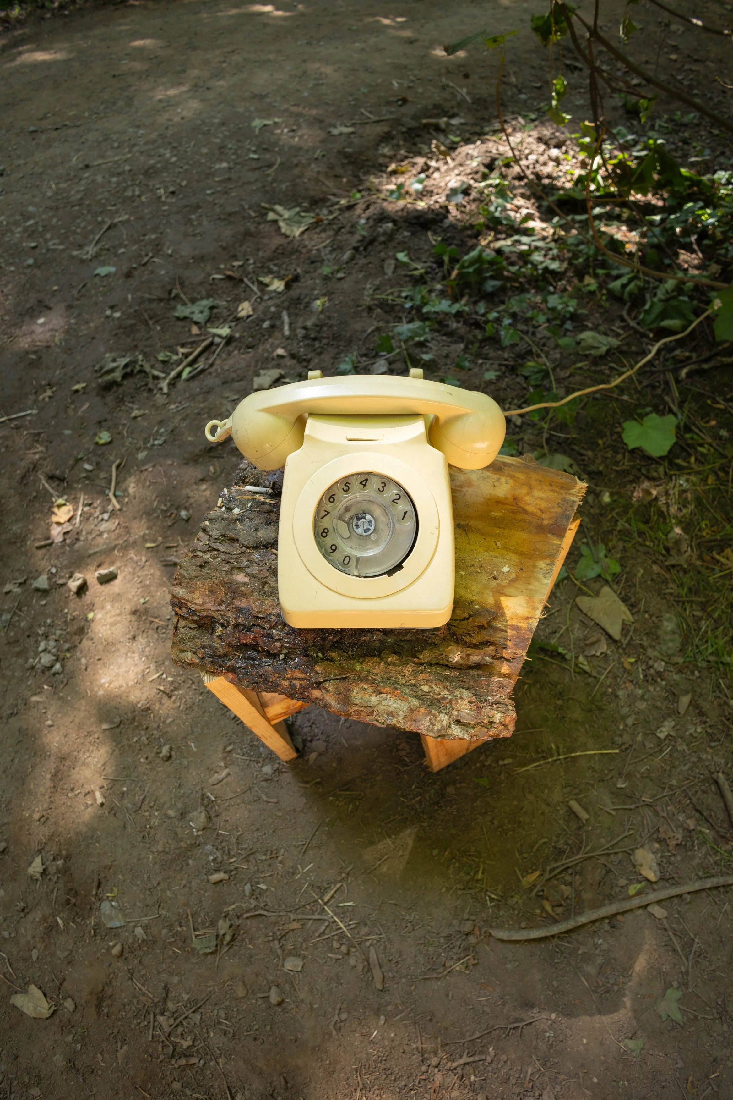 Festival Landline 2005