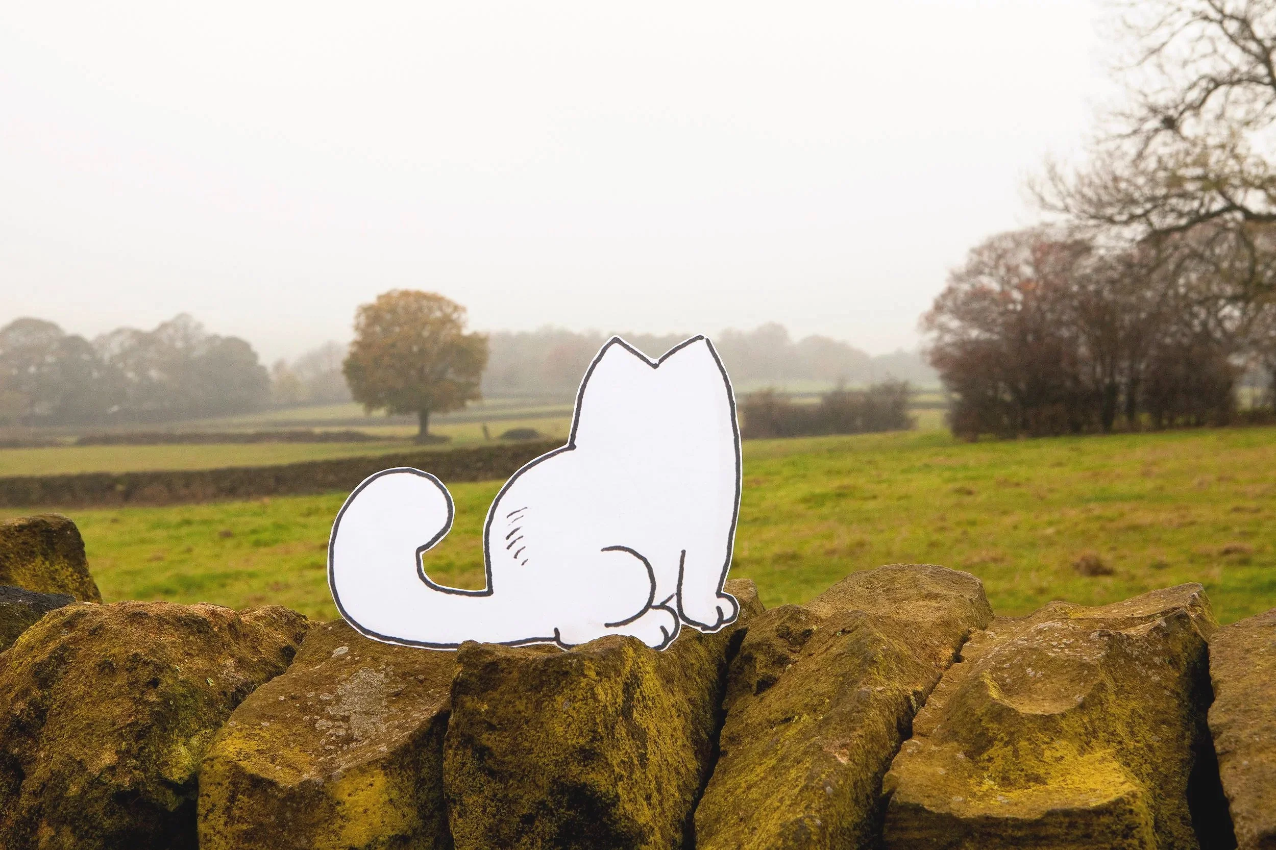 Simon's Cat