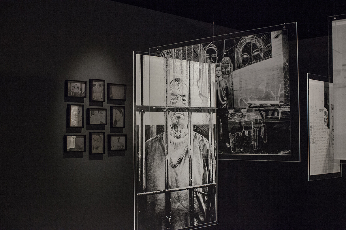 5.CellInstillation.jpg