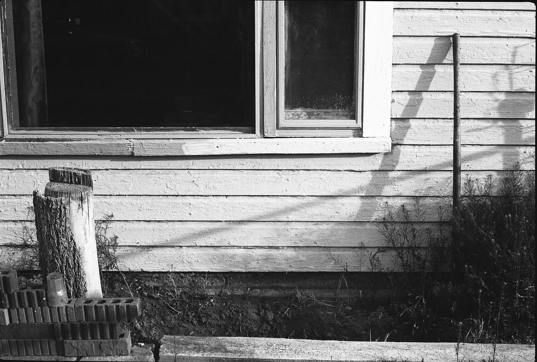 Fabian's Search for his Sister