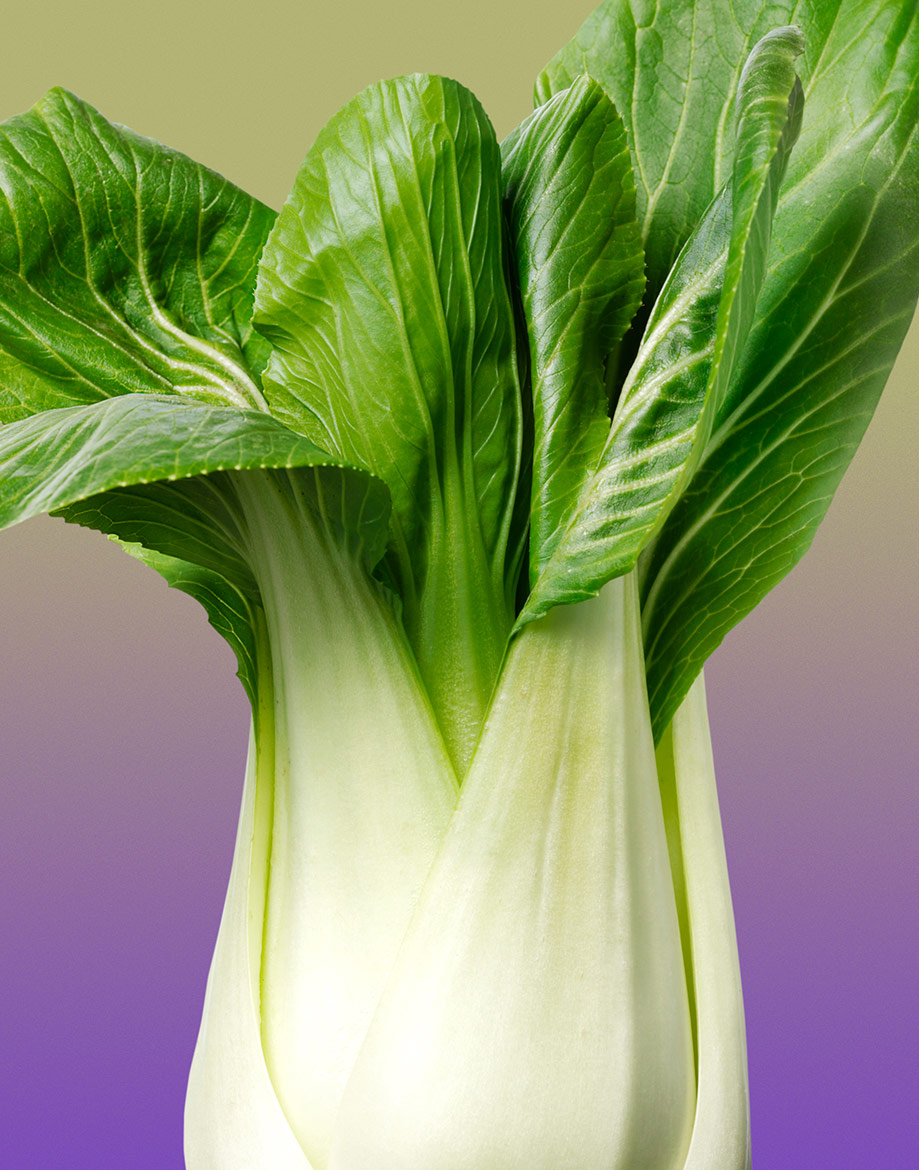 Bok-Choy-COMP-FINAL-229.jpg
