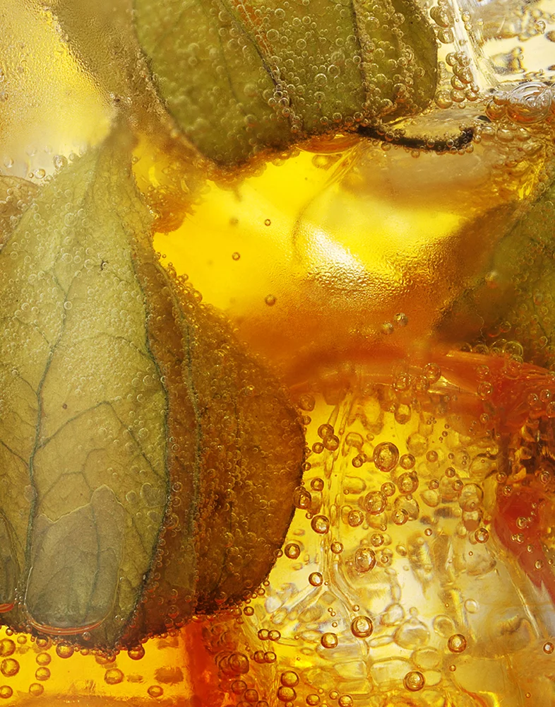 Cocktail Ice Close Up - Physalis Cape Gooseberry RET LR.jpg