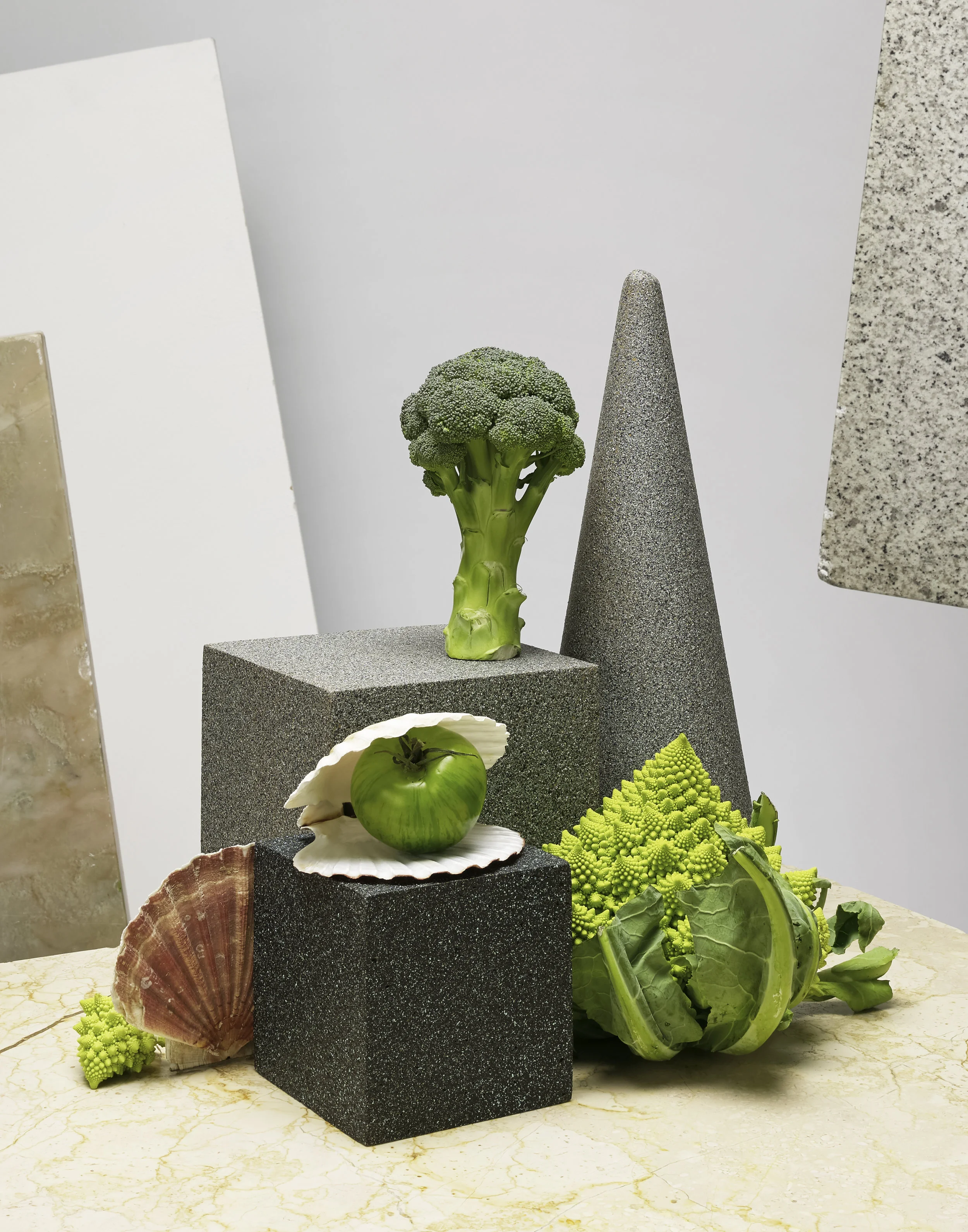 Norway Greens Shells 11x14 RET.jpg