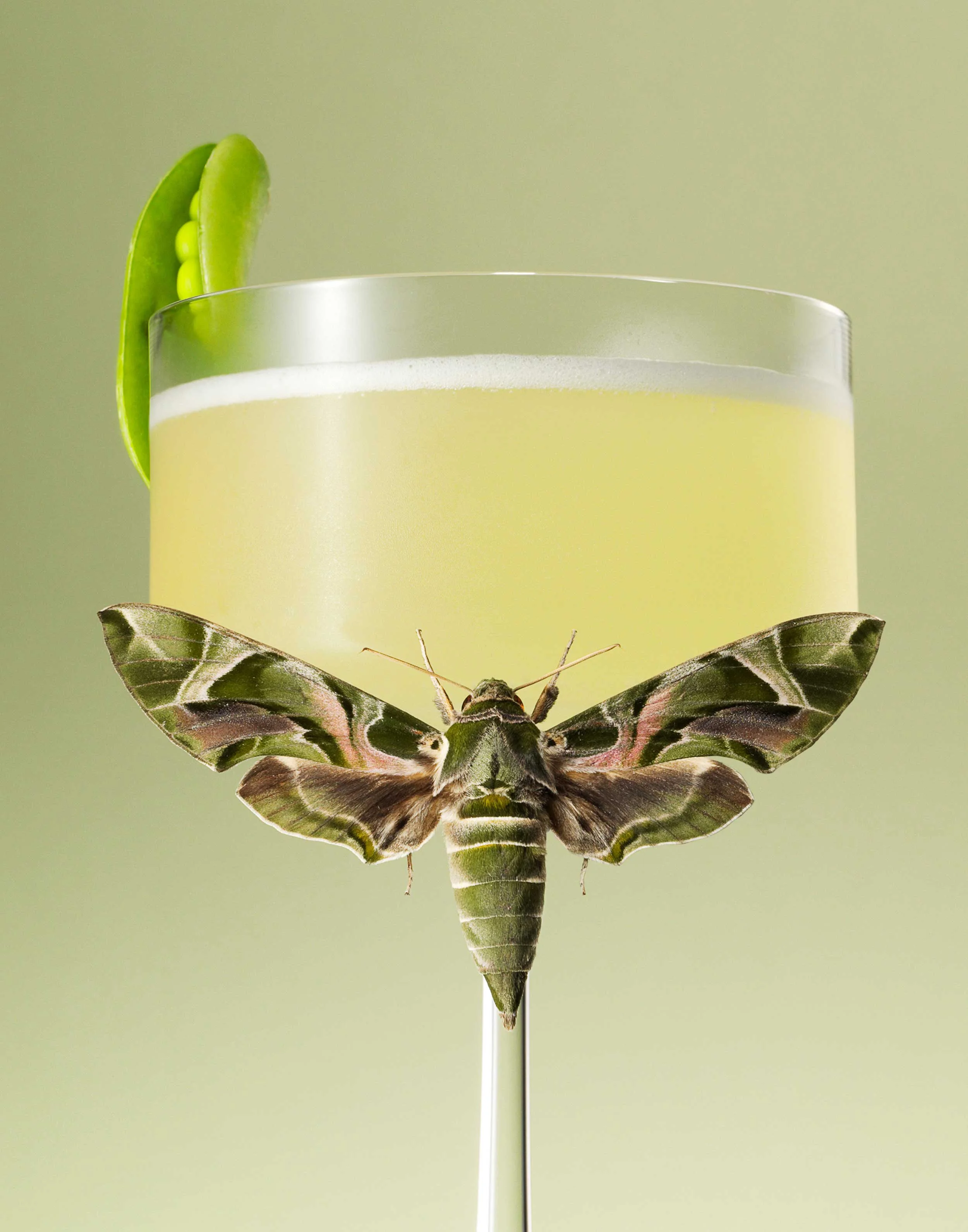 Moth-Cocktail---Pea-and-Mint-FRTc11x14.jpg