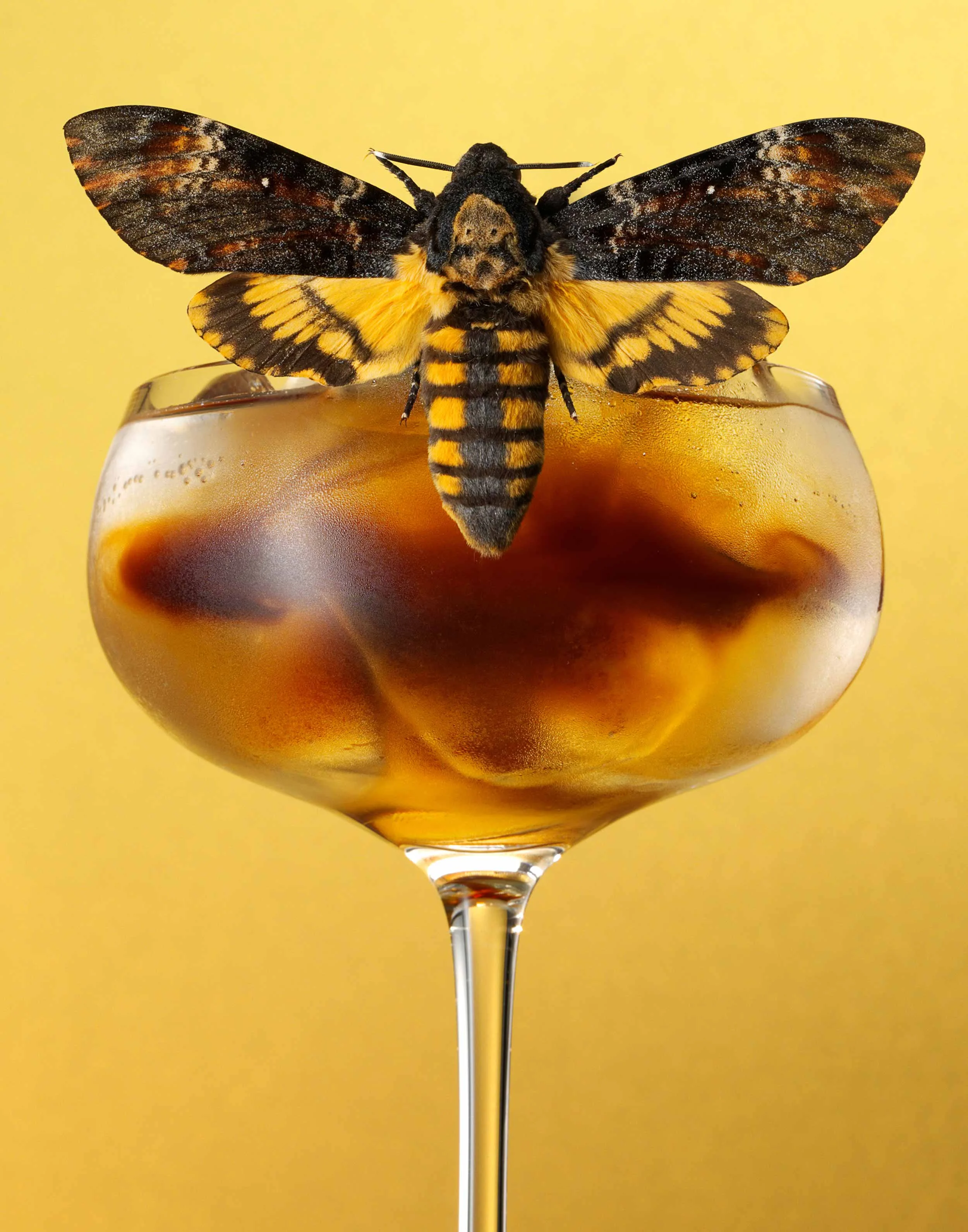 Moth-Cocktail---Espresso-Tonic-FRTc11x14.jpg