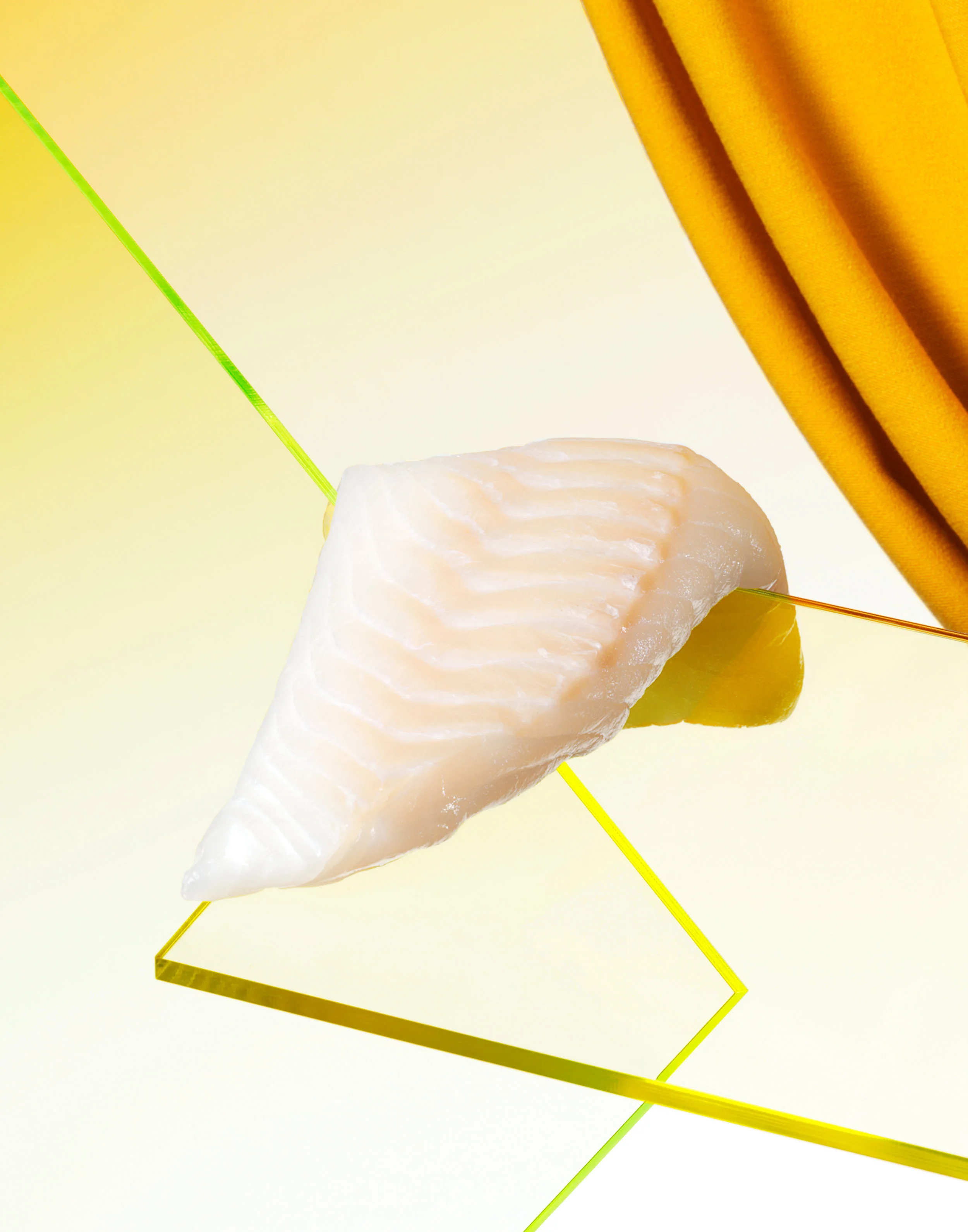 Perspex Yellow Cod RET11x14.jpg