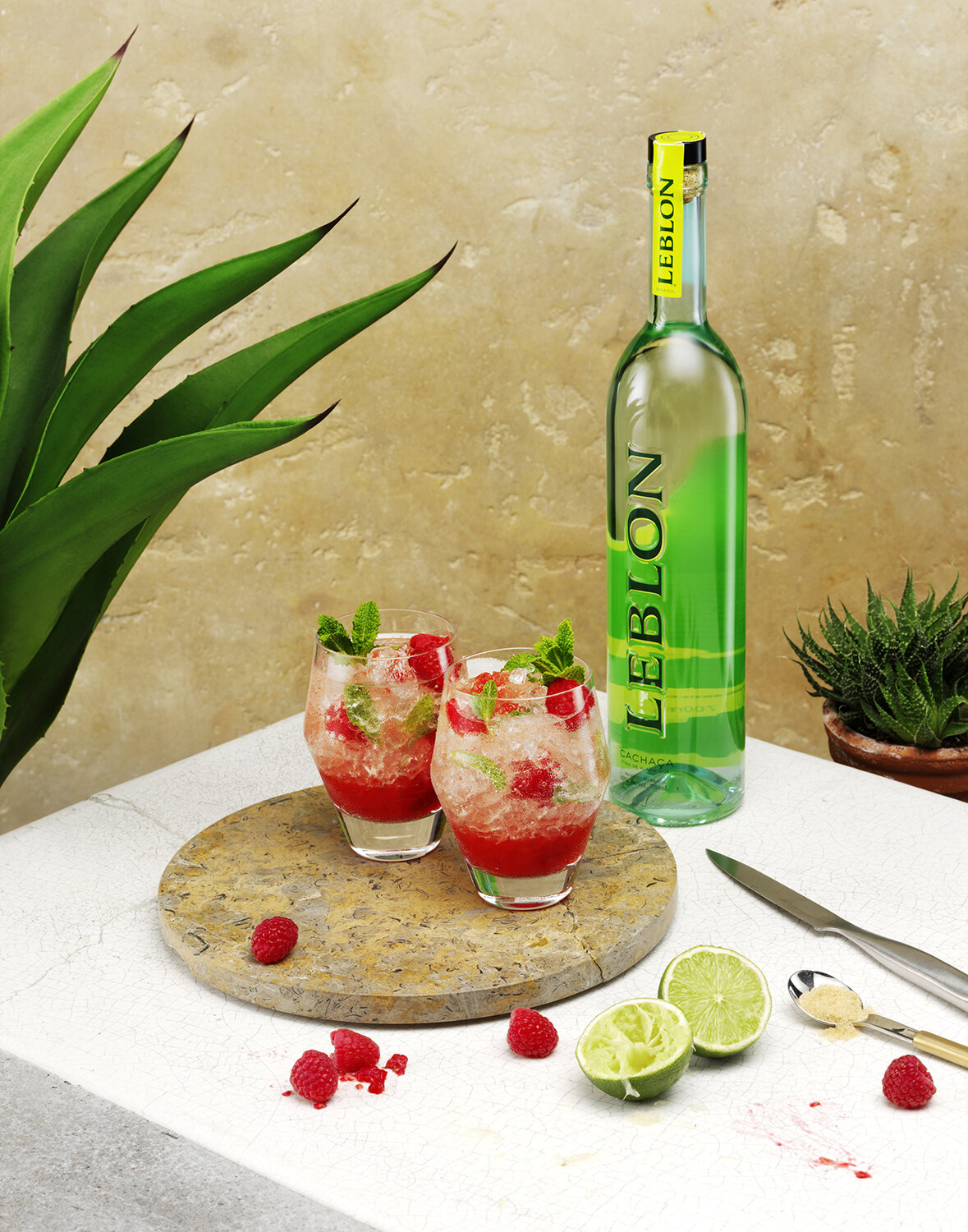 Leblon - Raspberry Mojito COMP 11x14 LowRes.jpg