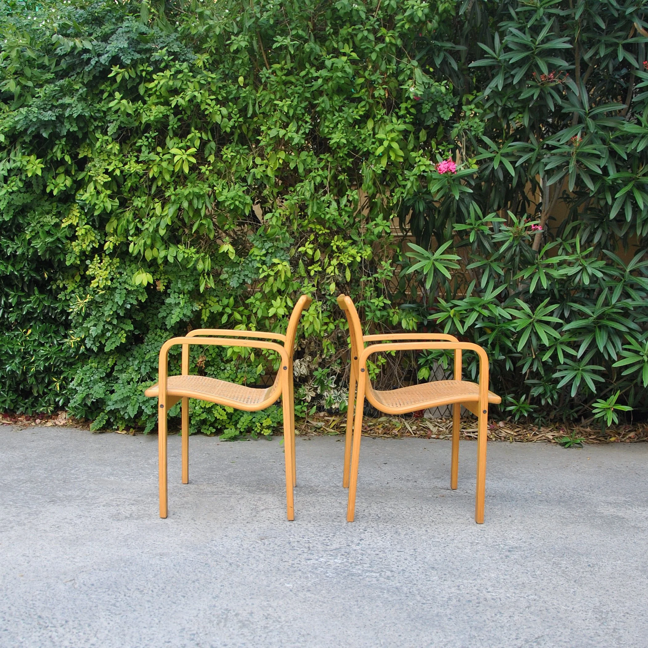 581 ALVAR AALTO STYLE CANE CHAIRS 5.JPG