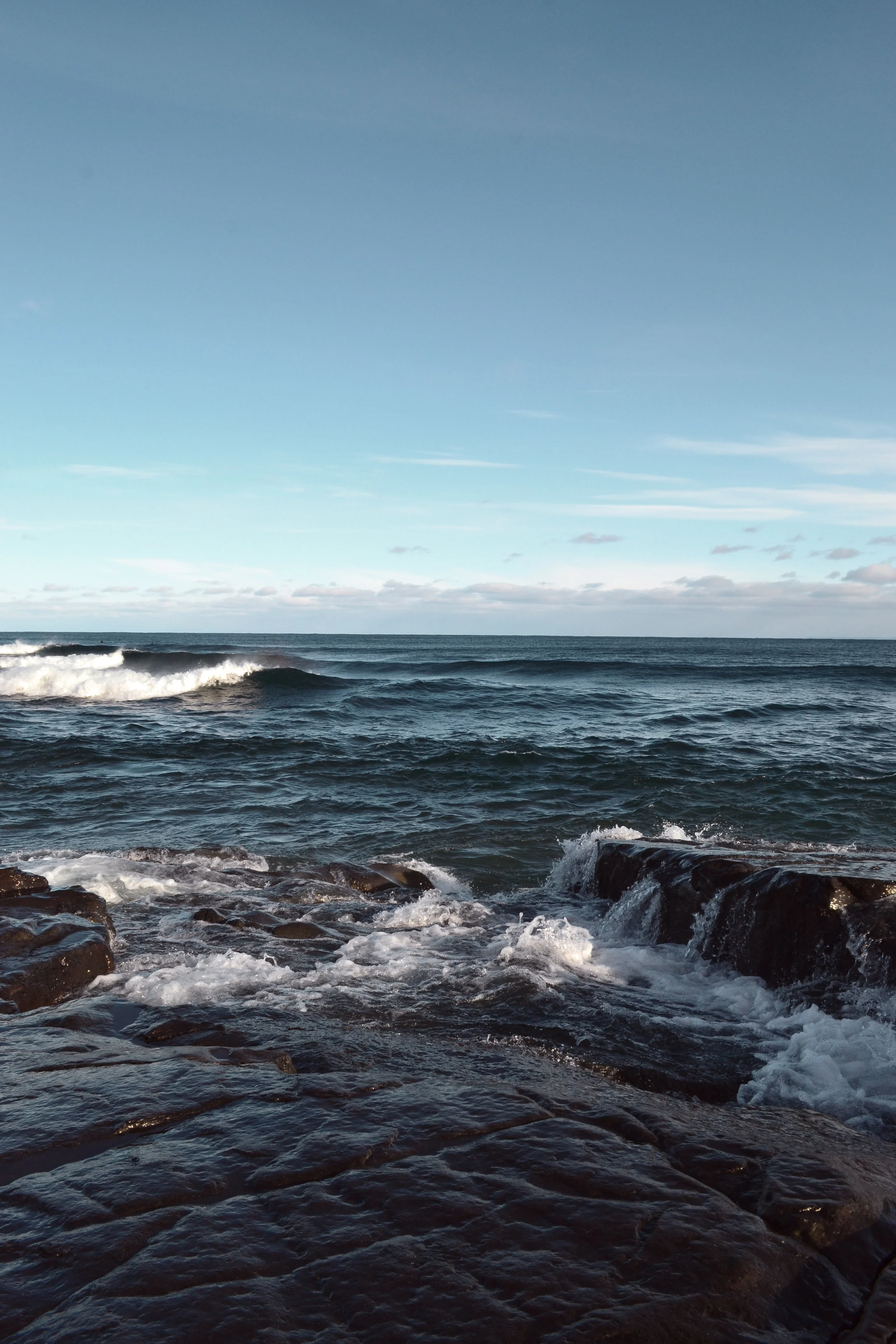 DSC_0087.jpg