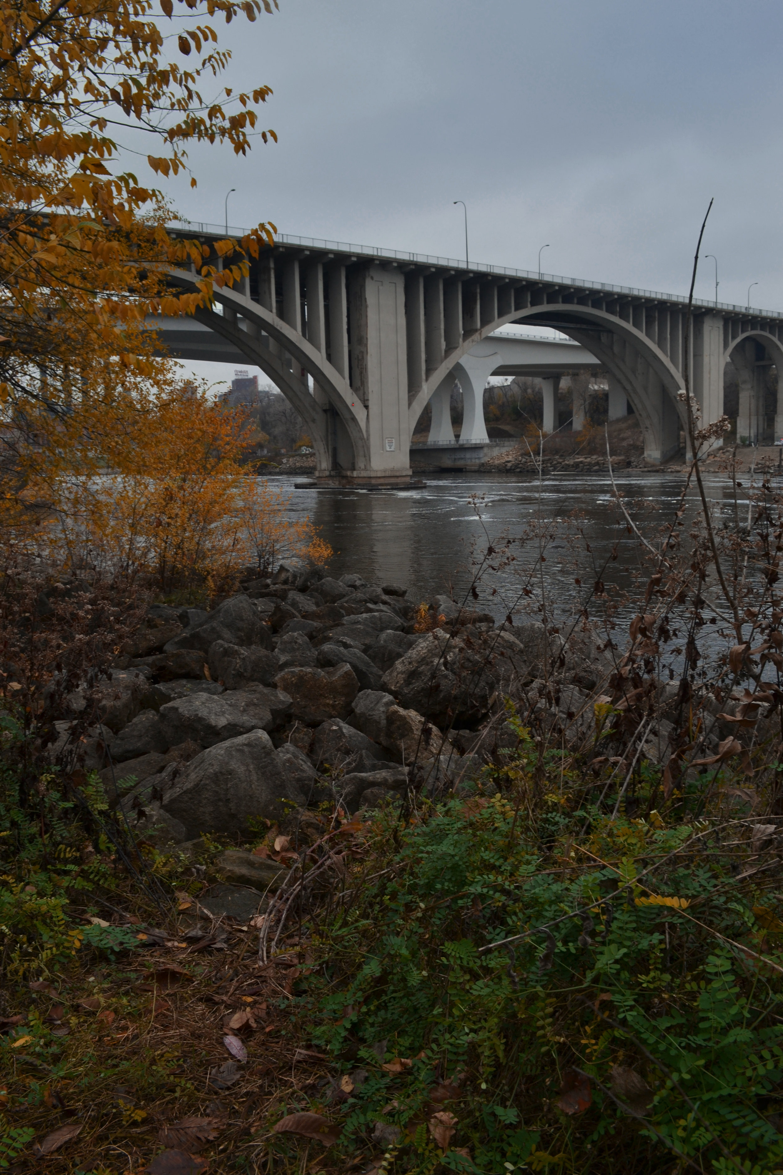 DSC_0137.jpg