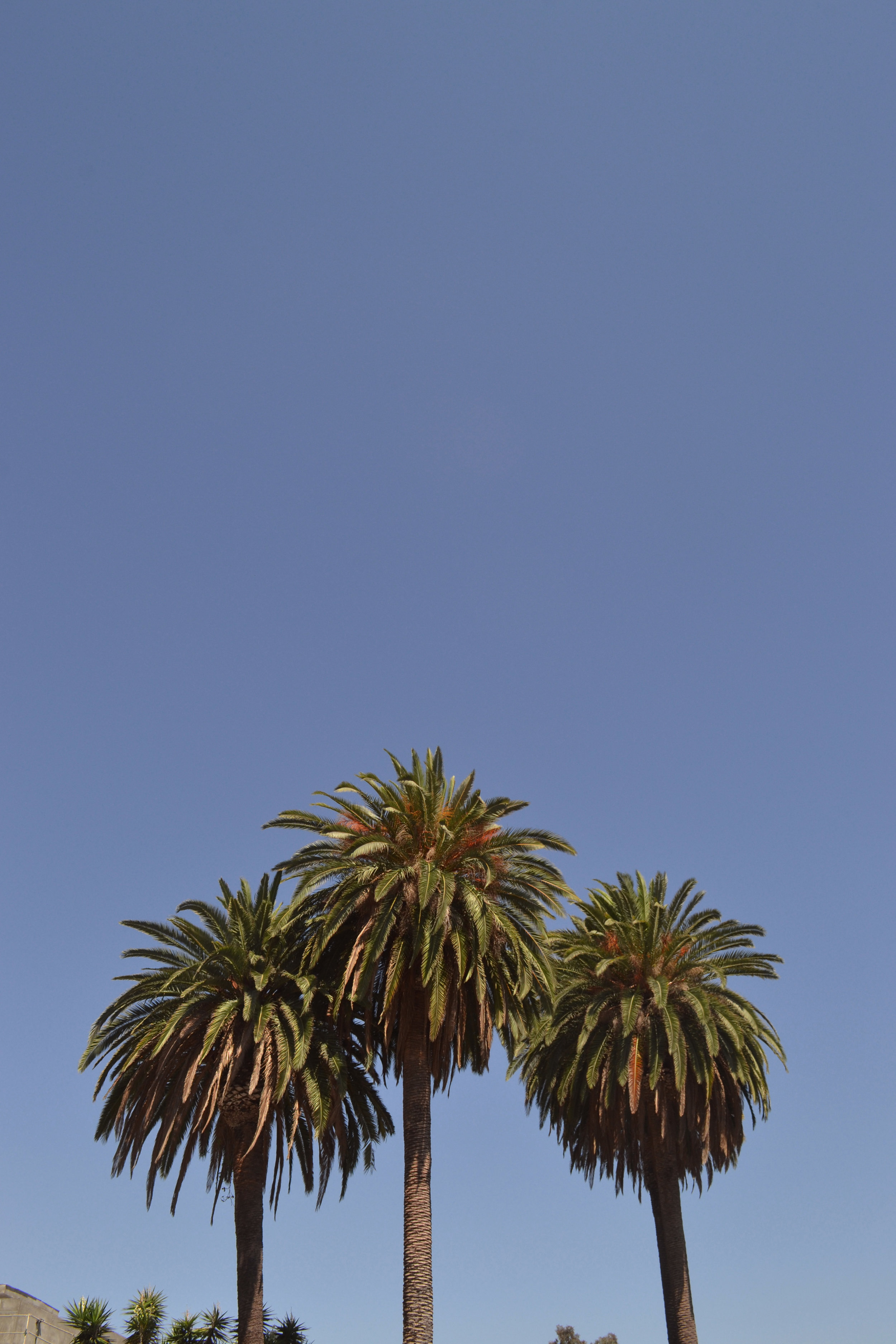 DSC_0694.jpg