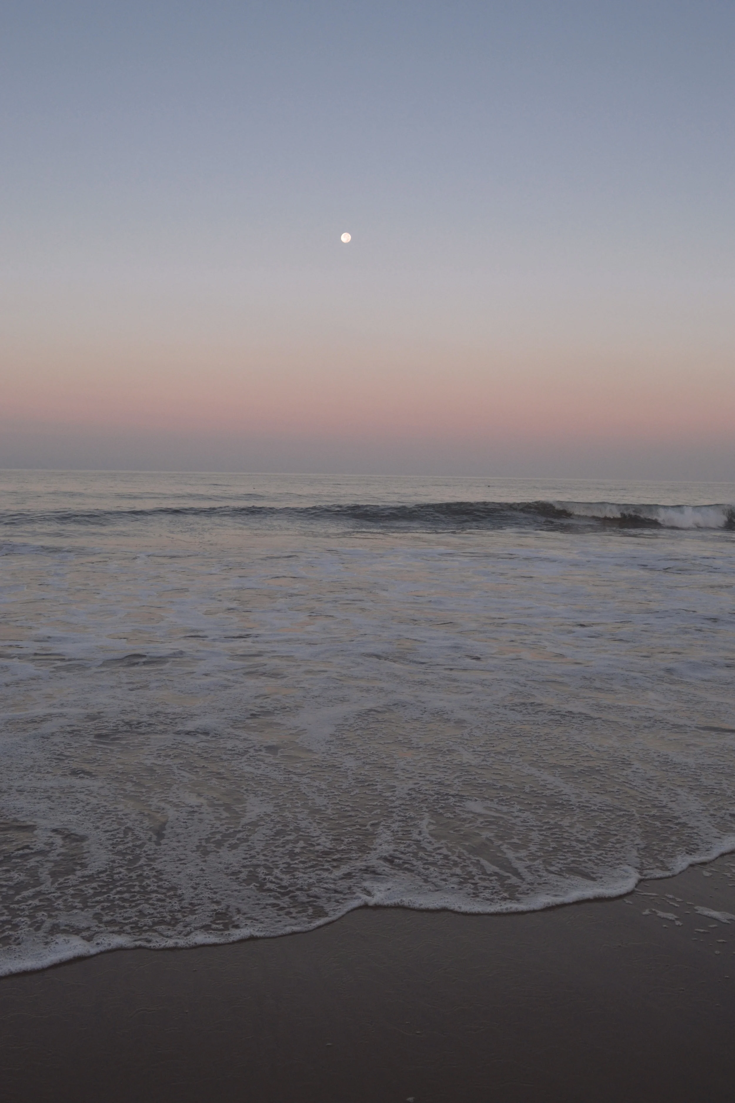 DSC_0737.jpg