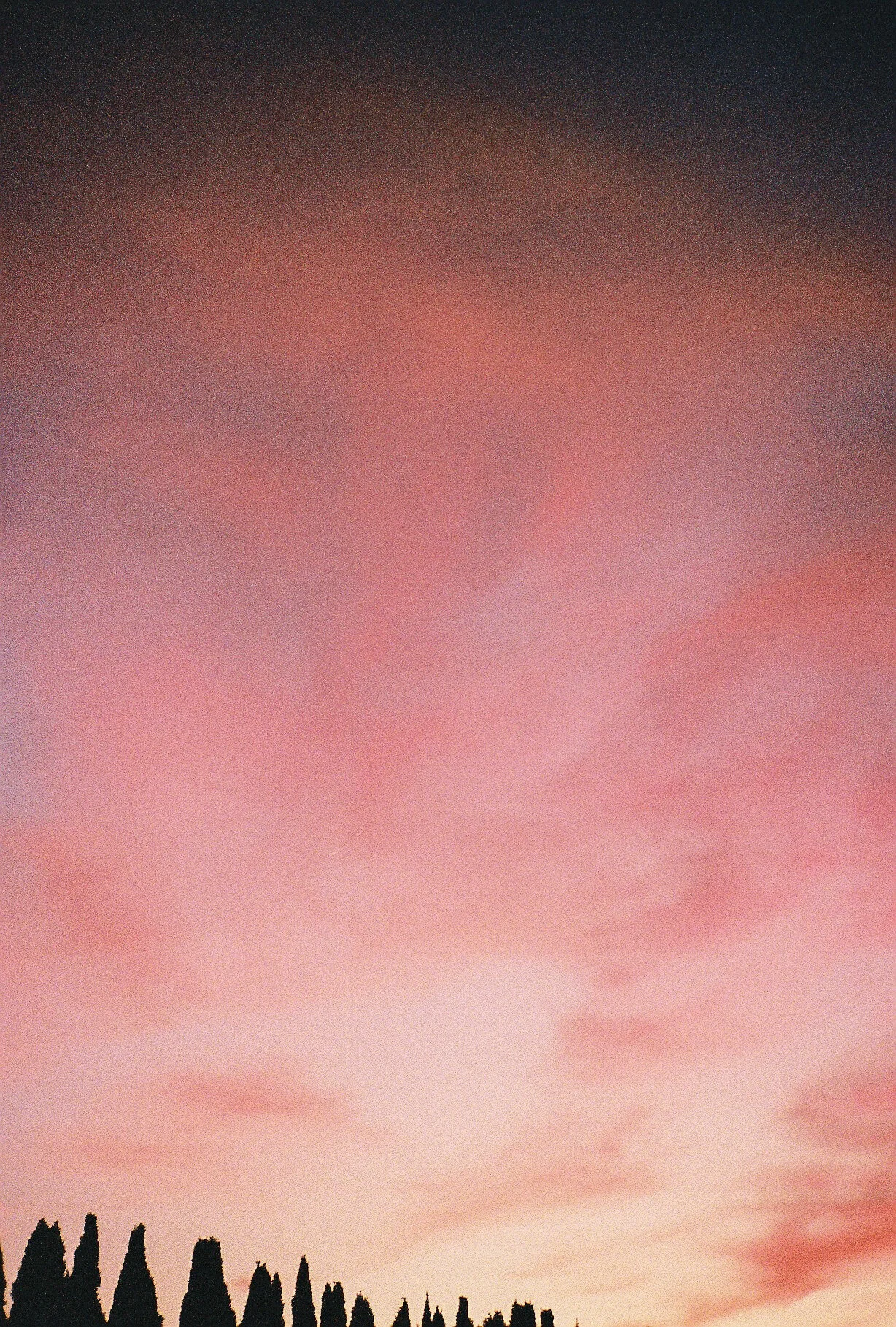 R1-01882-0007-2.jpg