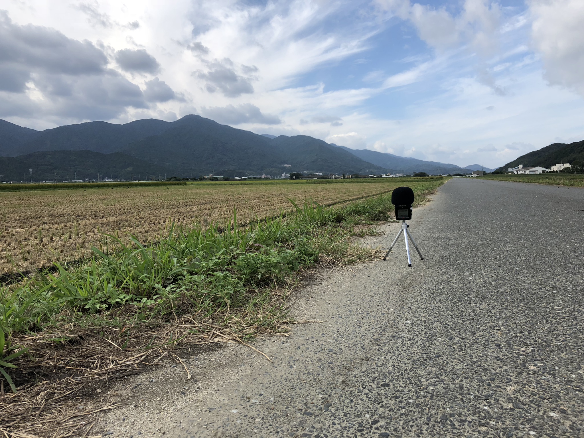 IMG_0347.jpeg