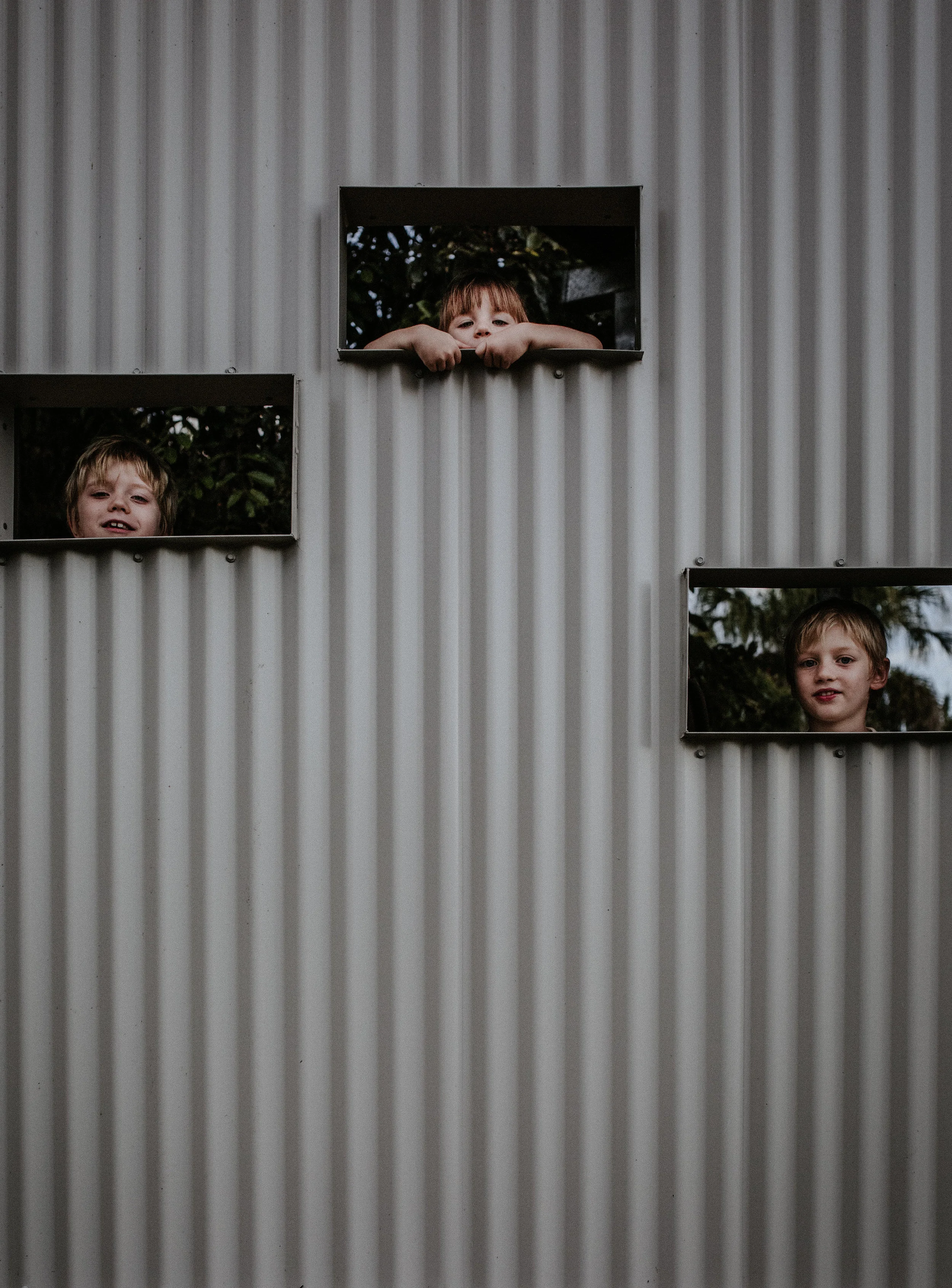 Scared all the birds into hiding at the Town Common bird hides.