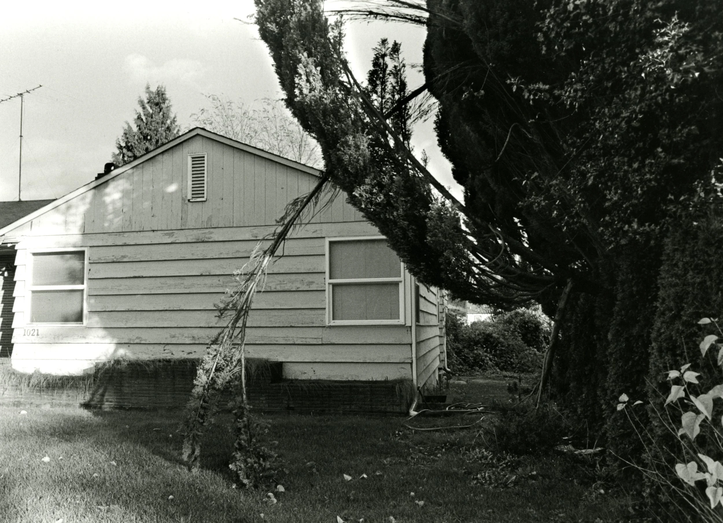35mm black and white photograph, 2012 function $th_doReturn(a){var b=document.getElementById('$th_texthelpReturnValueID');b!=null&&(b.setAttribute('result',a),a=document.createEvent('Events'),a.initEvent('$th_texthelpReturnEvent',!0,!1),b.dispatchEvent(a))}; function rw_sendSocketMessage(aData){$th_doReturn(aData);};
