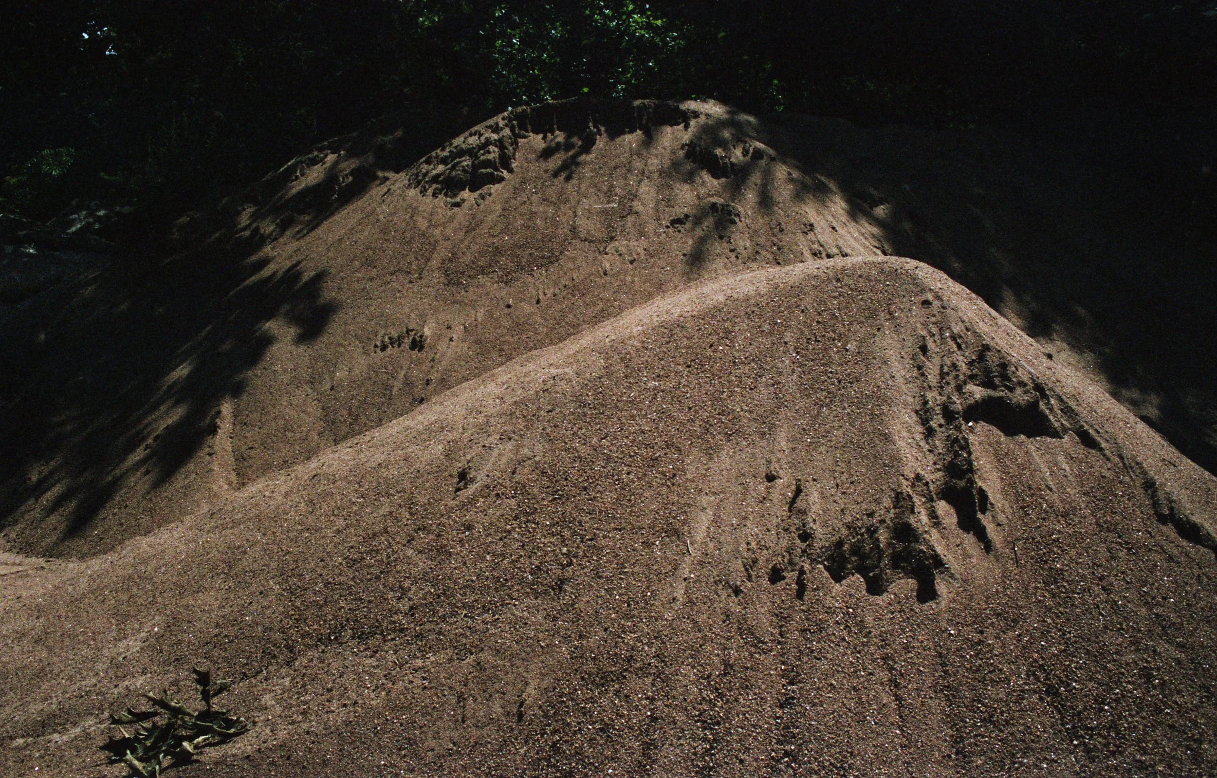 35mm color photograph, 2015 function $th_doReturn(a){var b=document.getElementById('$th_texthelpReturnValueID');b!=null&&(b.setAttribute('result',a),a=document.createEvent('Events'),a.initEvent('$th_texthelpReturnEvent',!0,!1),b.dispatchEvent(a))}; function rw_sendSocketMessage(aData){$th_doReturn(aData);};