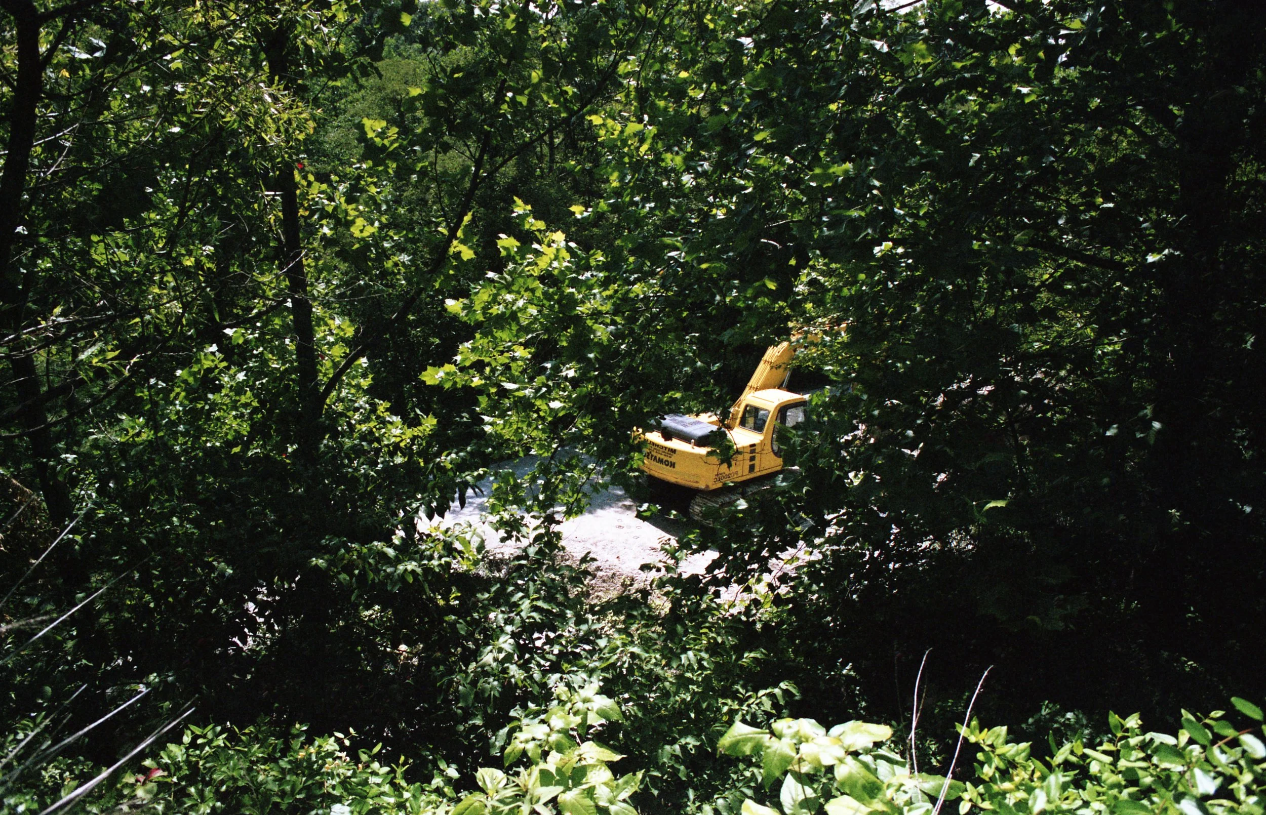 35mm color photograph, 2015