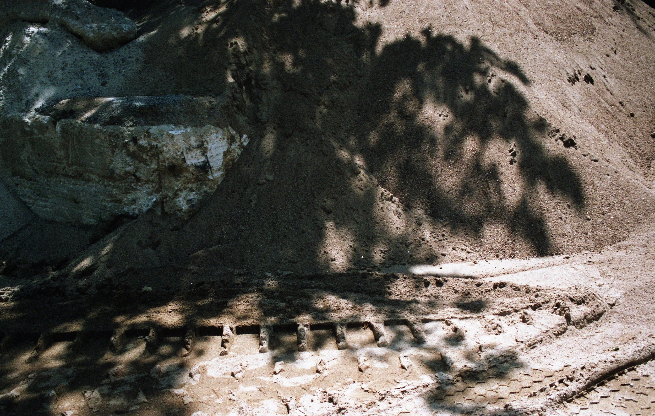 35mm color photograph, 2015