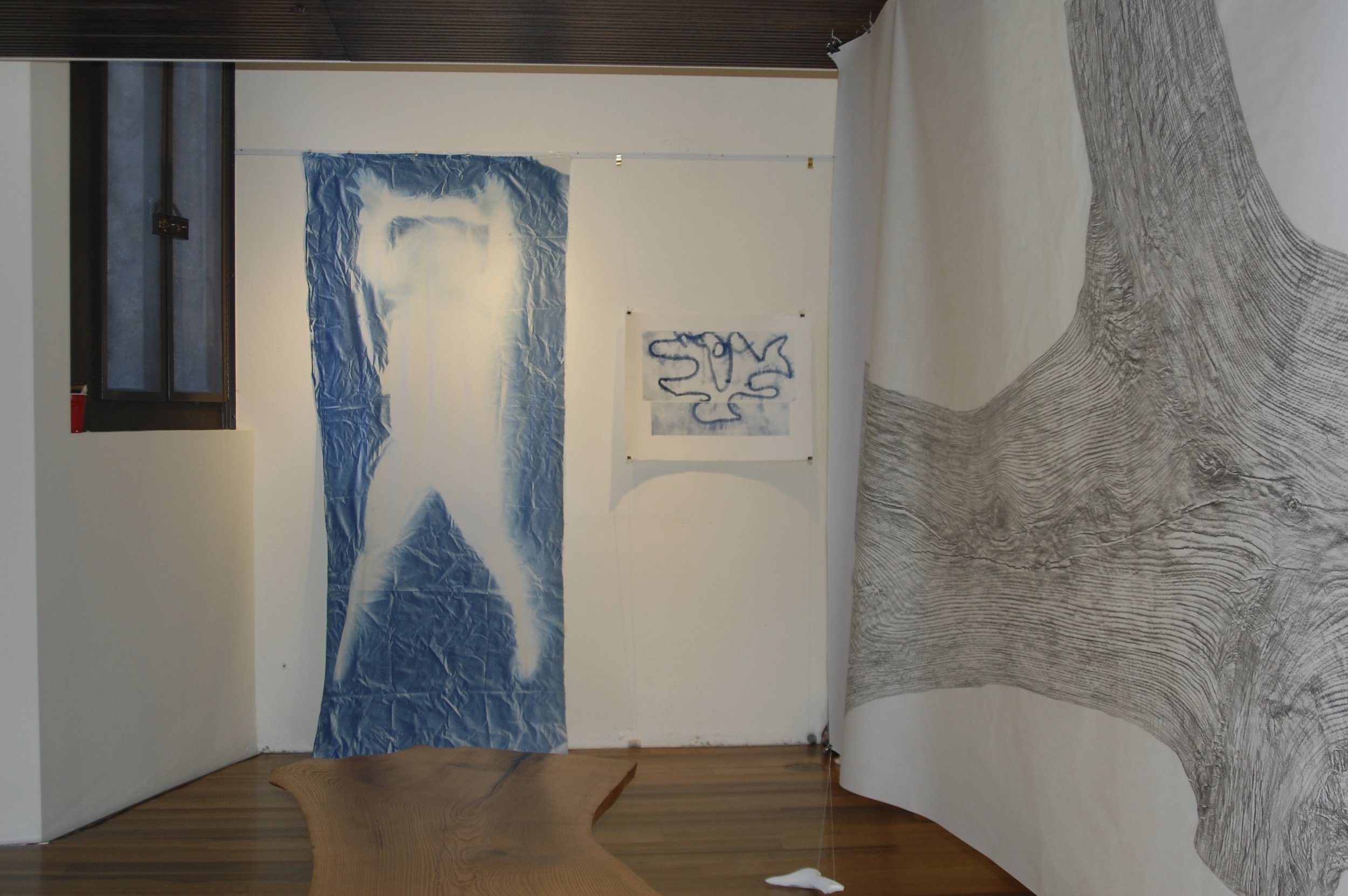 The Copy, installation view