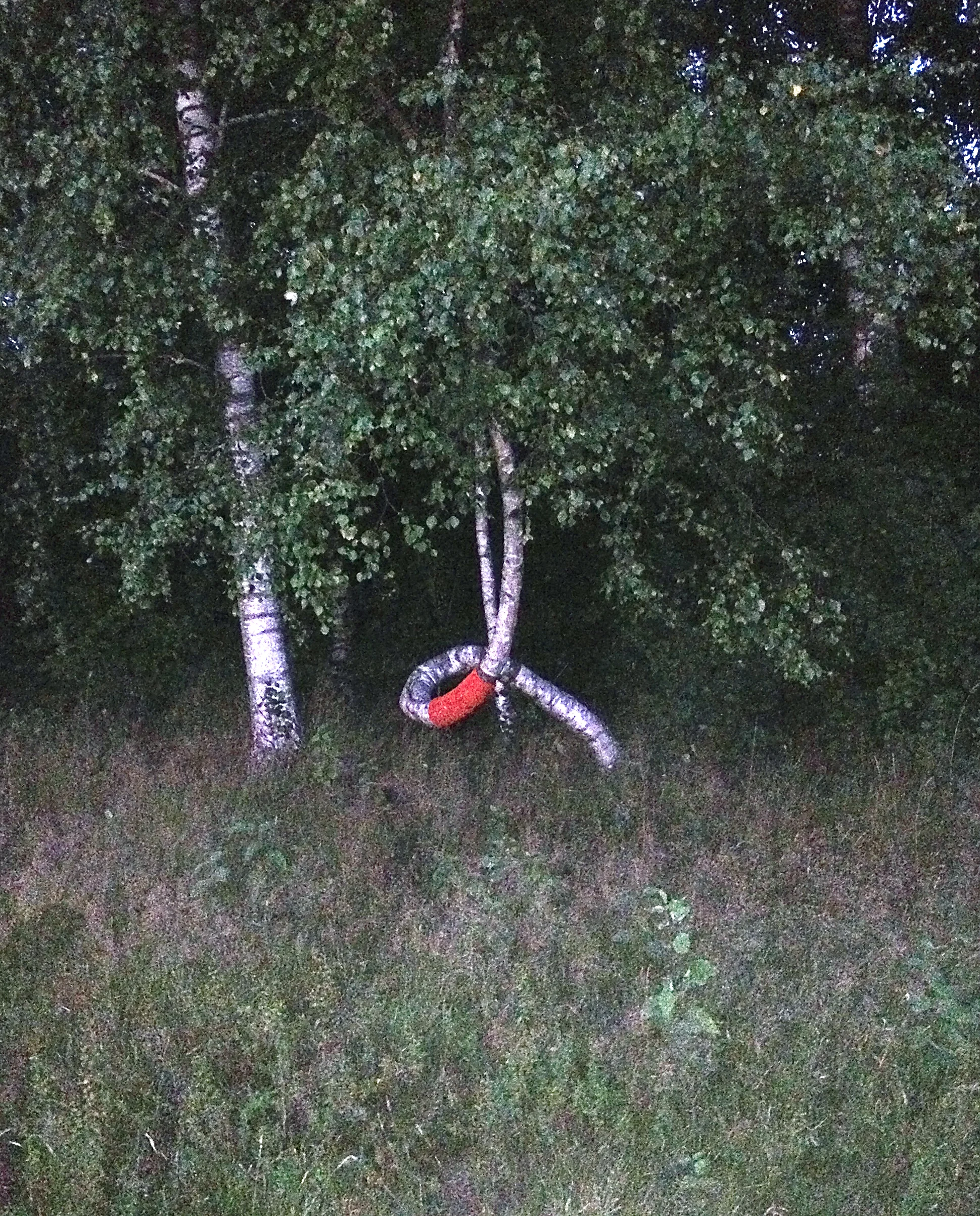 Tree Gestures