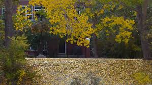 Selling Your Home in the Fall