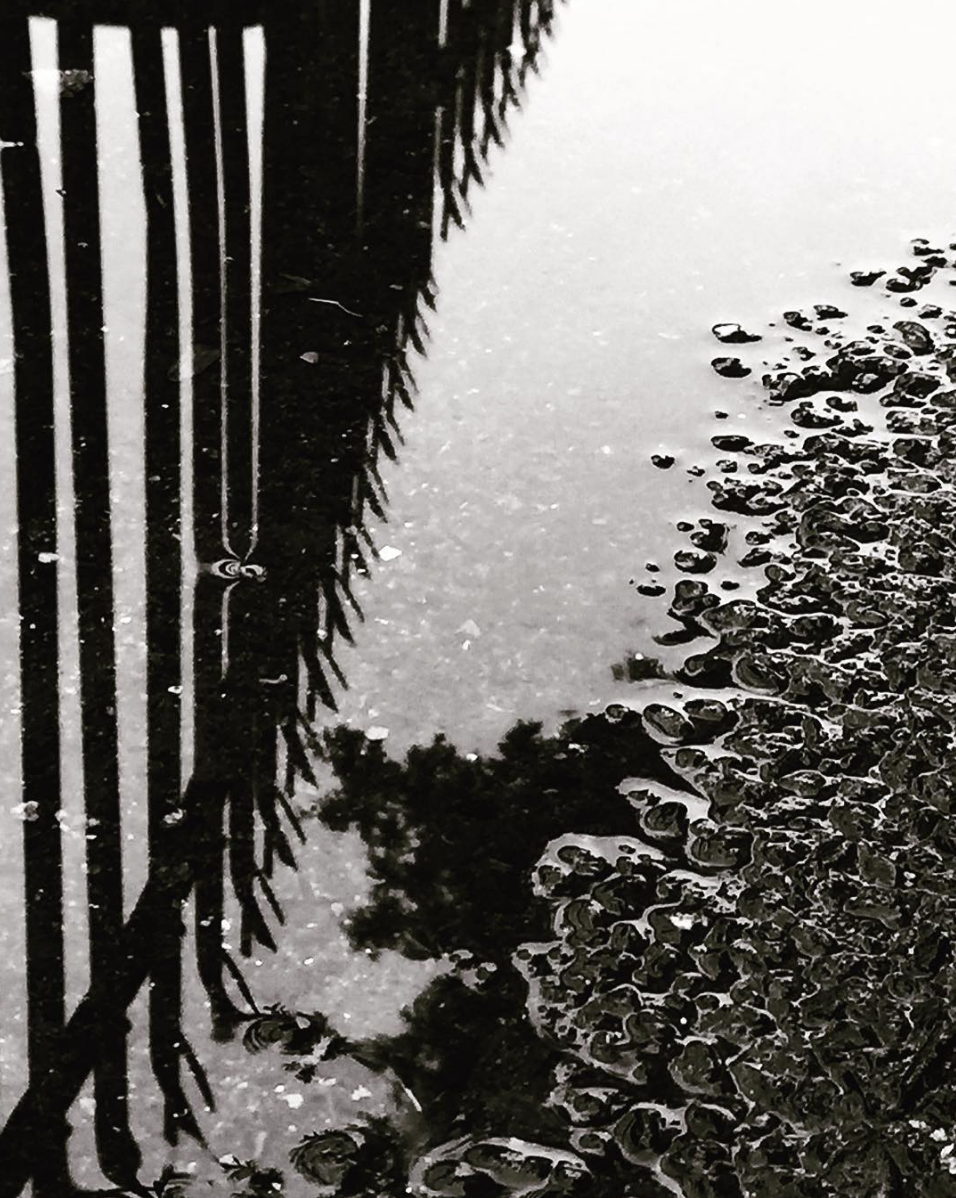 Screen Shot 2016-10-03 at 14.56.26.png