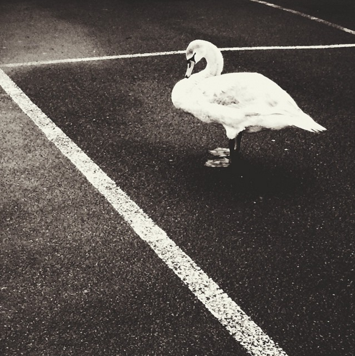 Screen Shot 2016-10-03 at 15.08.45.png