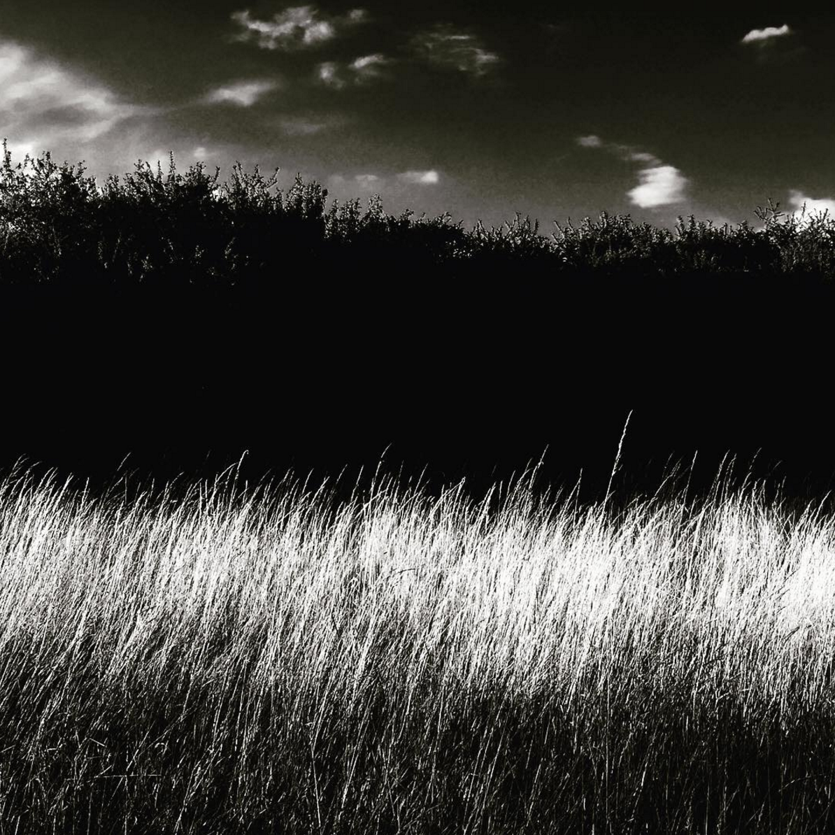 Screen Shot 2016-10-03 at 15.09.17.png