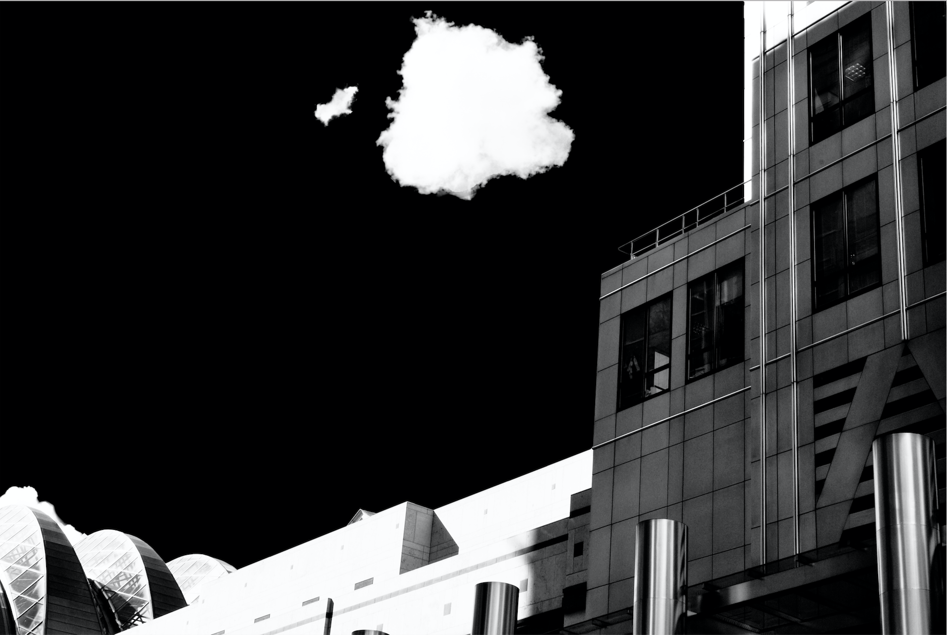 rachaelcoxartist.com (2).png