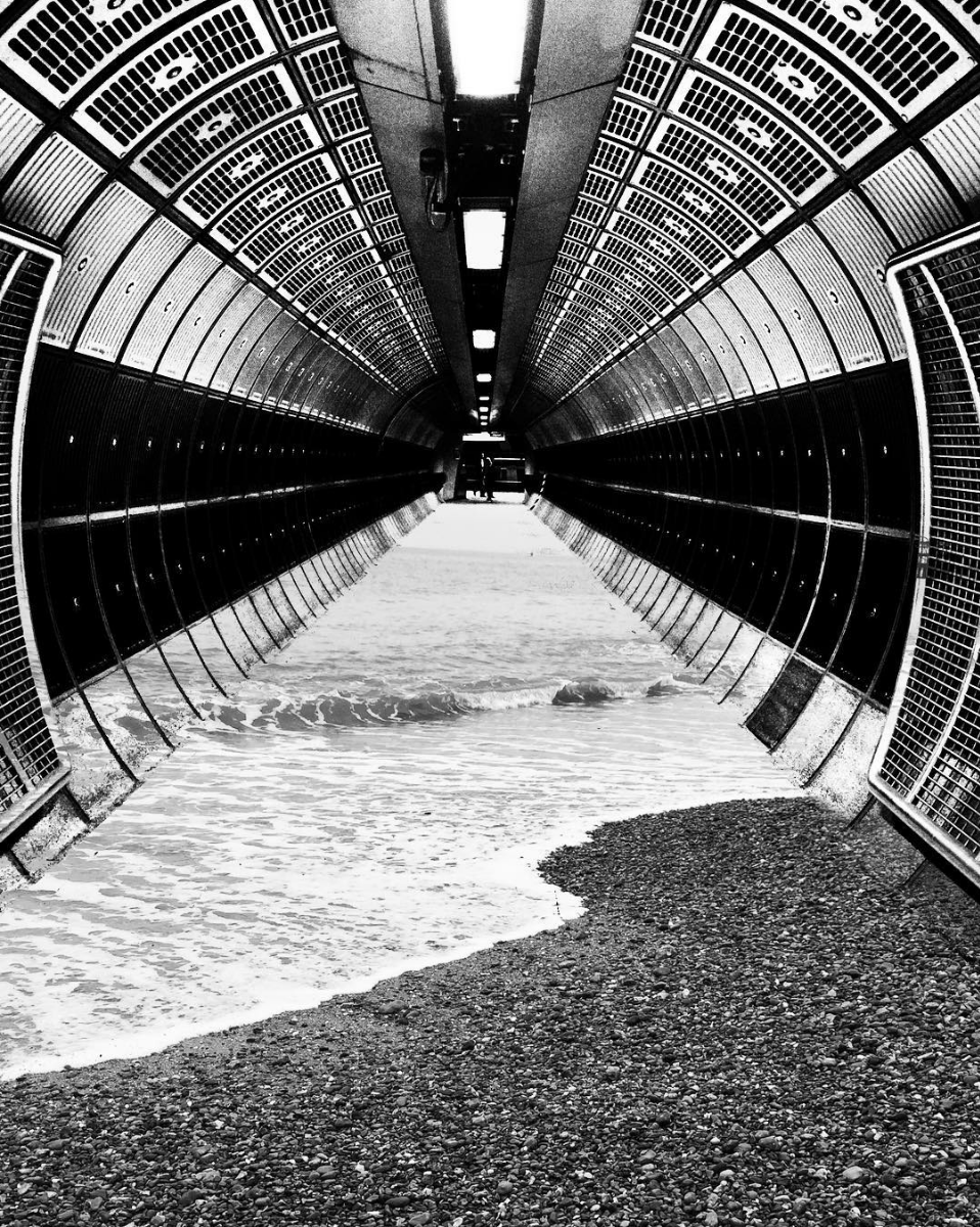 racaelcoxartist.com all rights reserved.png