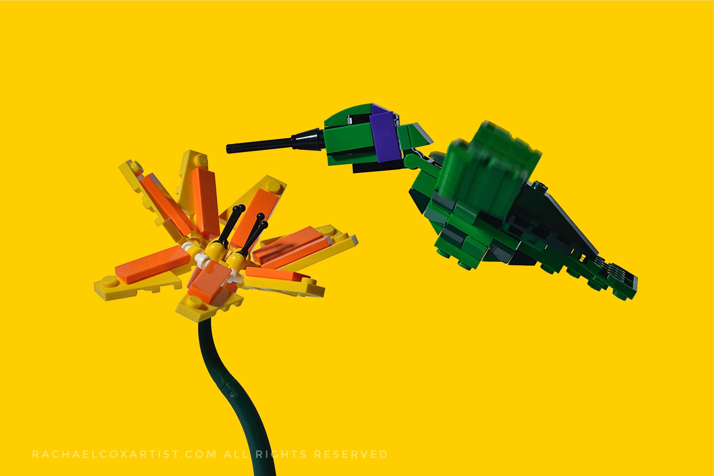 Creative Photography