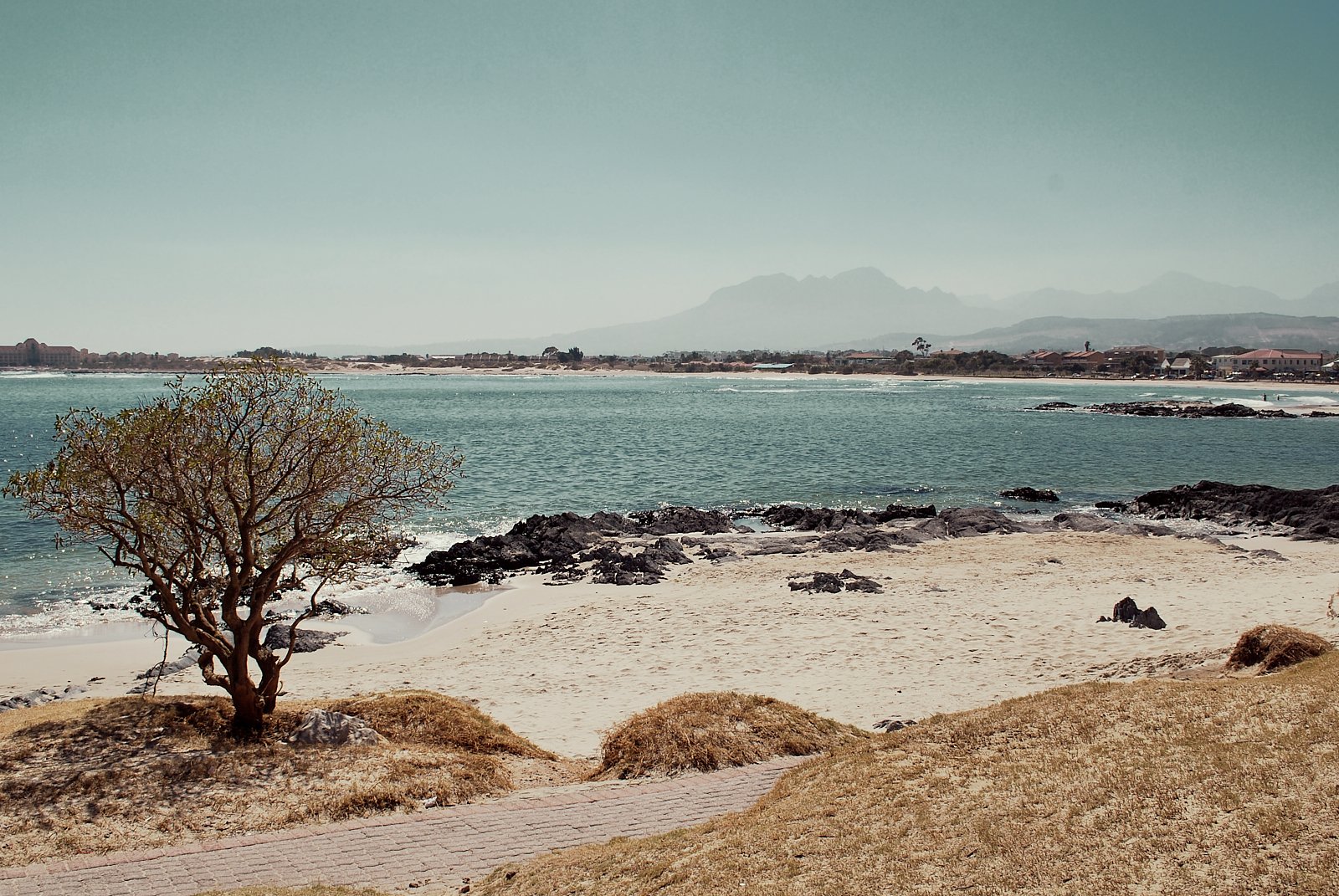 Copyright owner Rachael Cox artistphotohgrapher.jpg