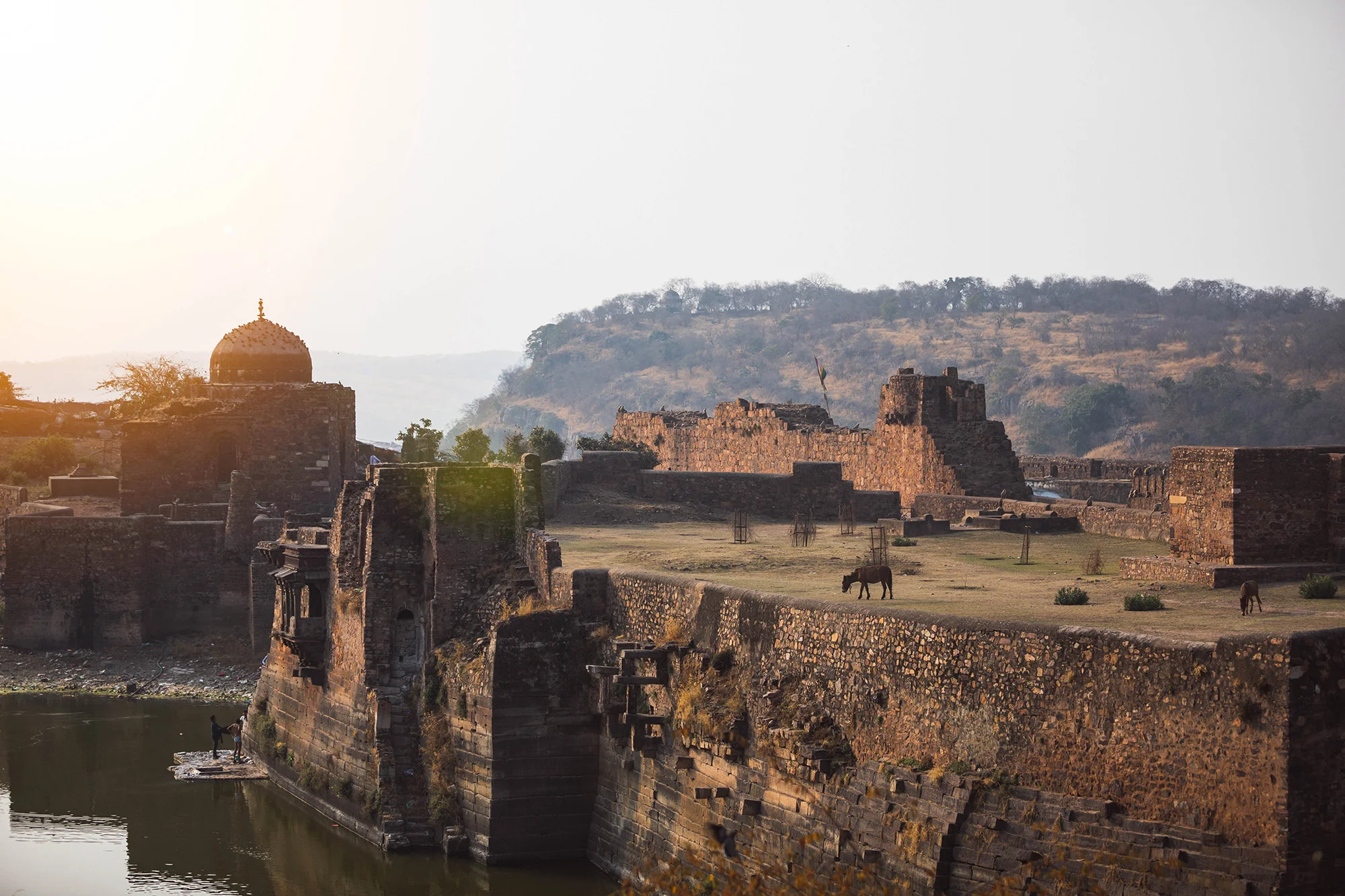 Steve_Turvey_Travel_India-2.jpg