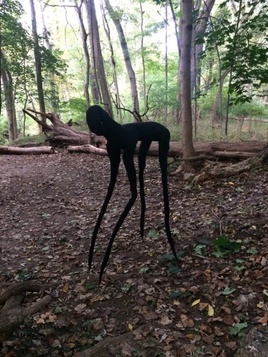 Dark Doggo 3