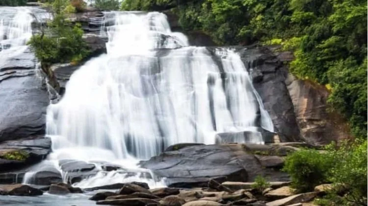 Church Hike to DuPont State Park
