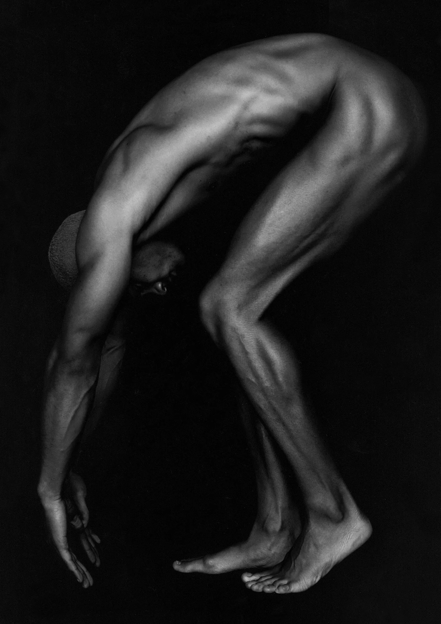 Sport Bodies