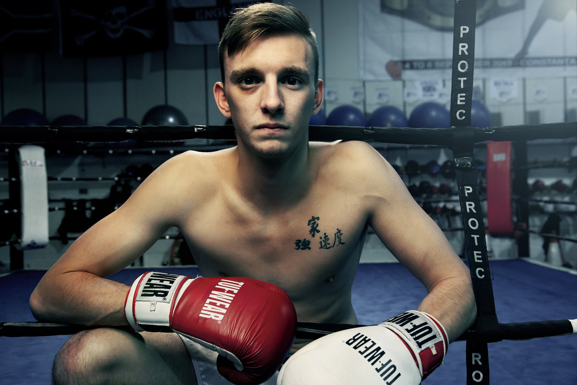 The Boxer