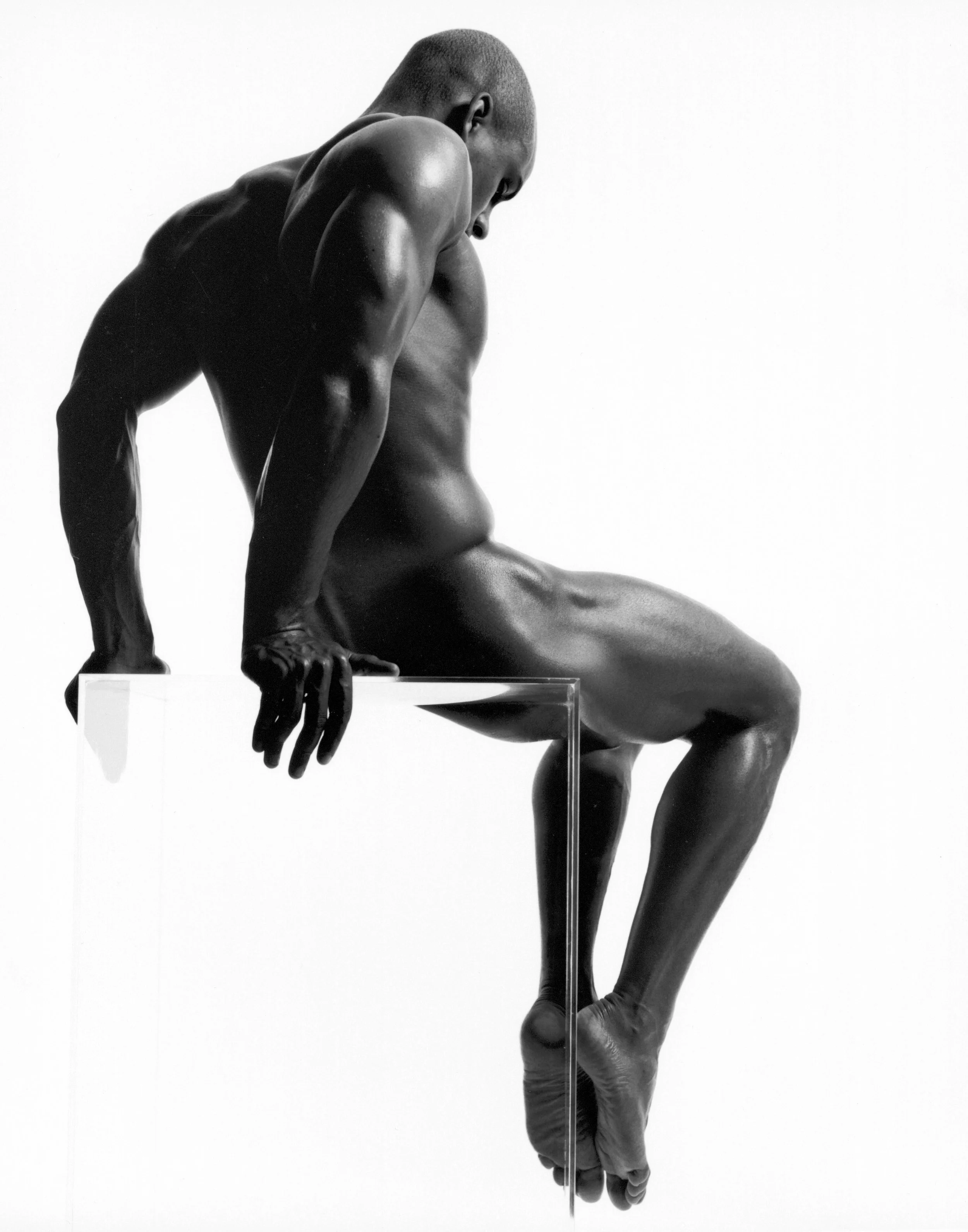 anatomy for the artist