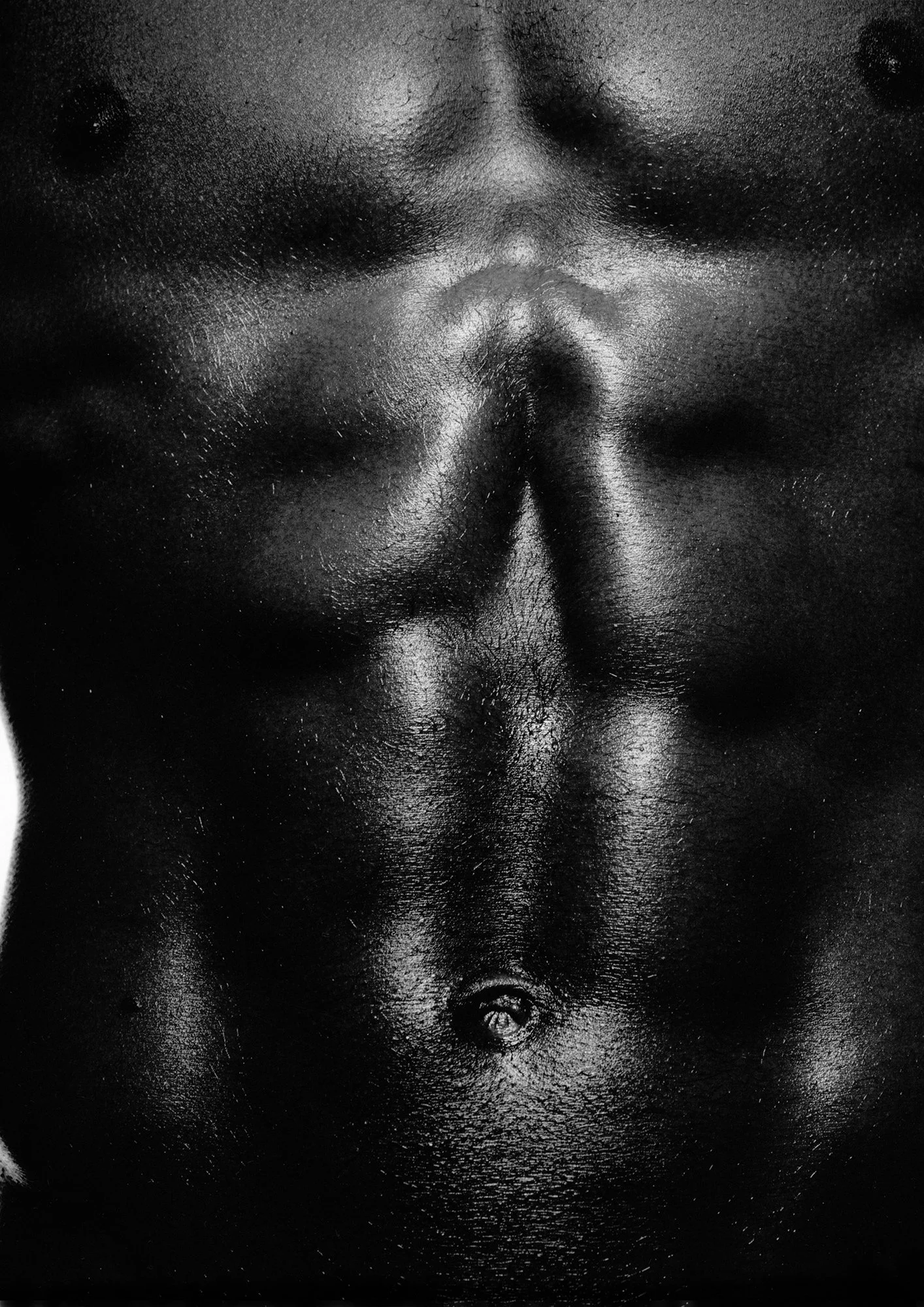 Anatomy for the Artist