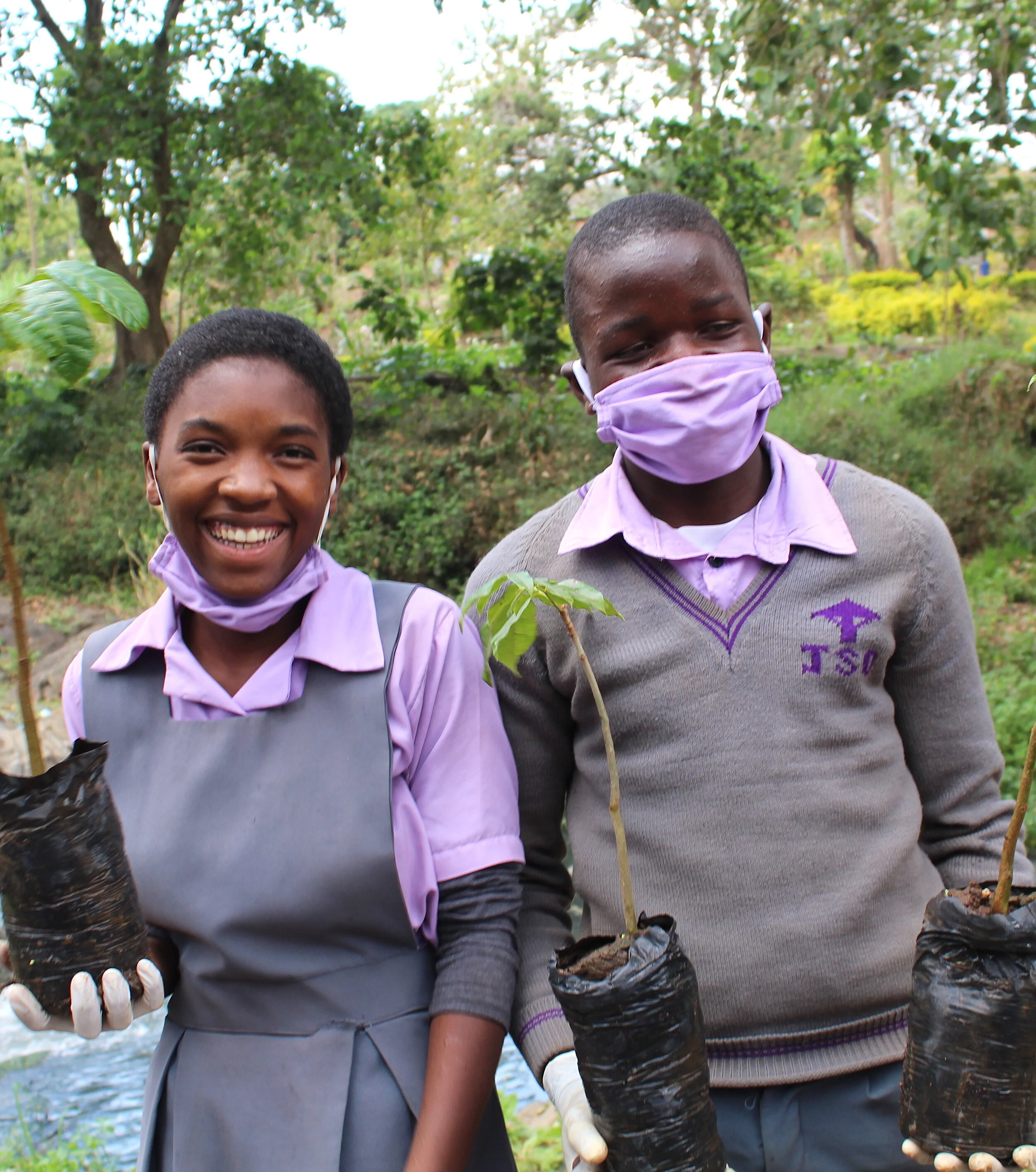 Planting trees along the river